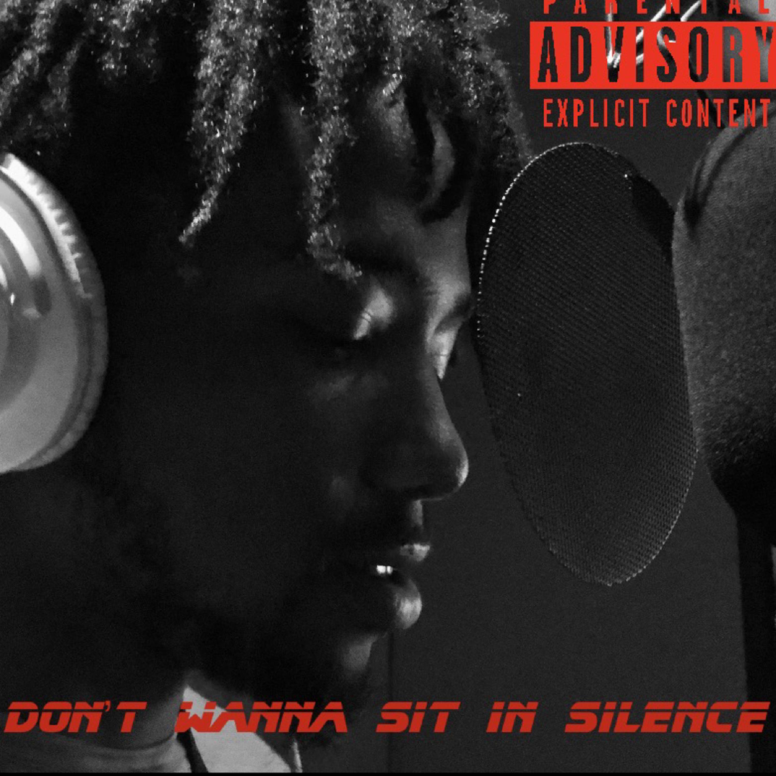 Don't Wanna Sit In Silence artwork