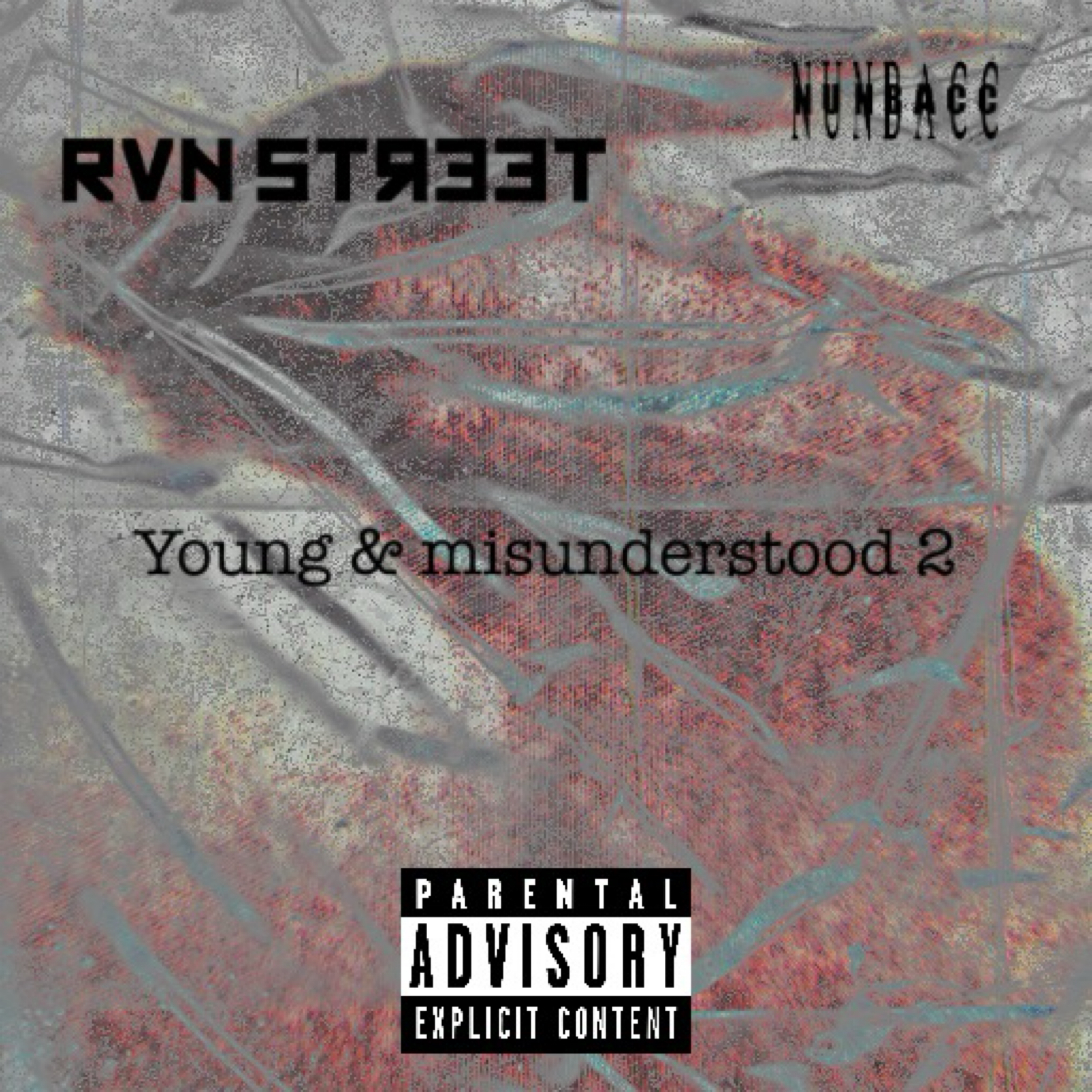 Young & Misunderstood 2 artwork