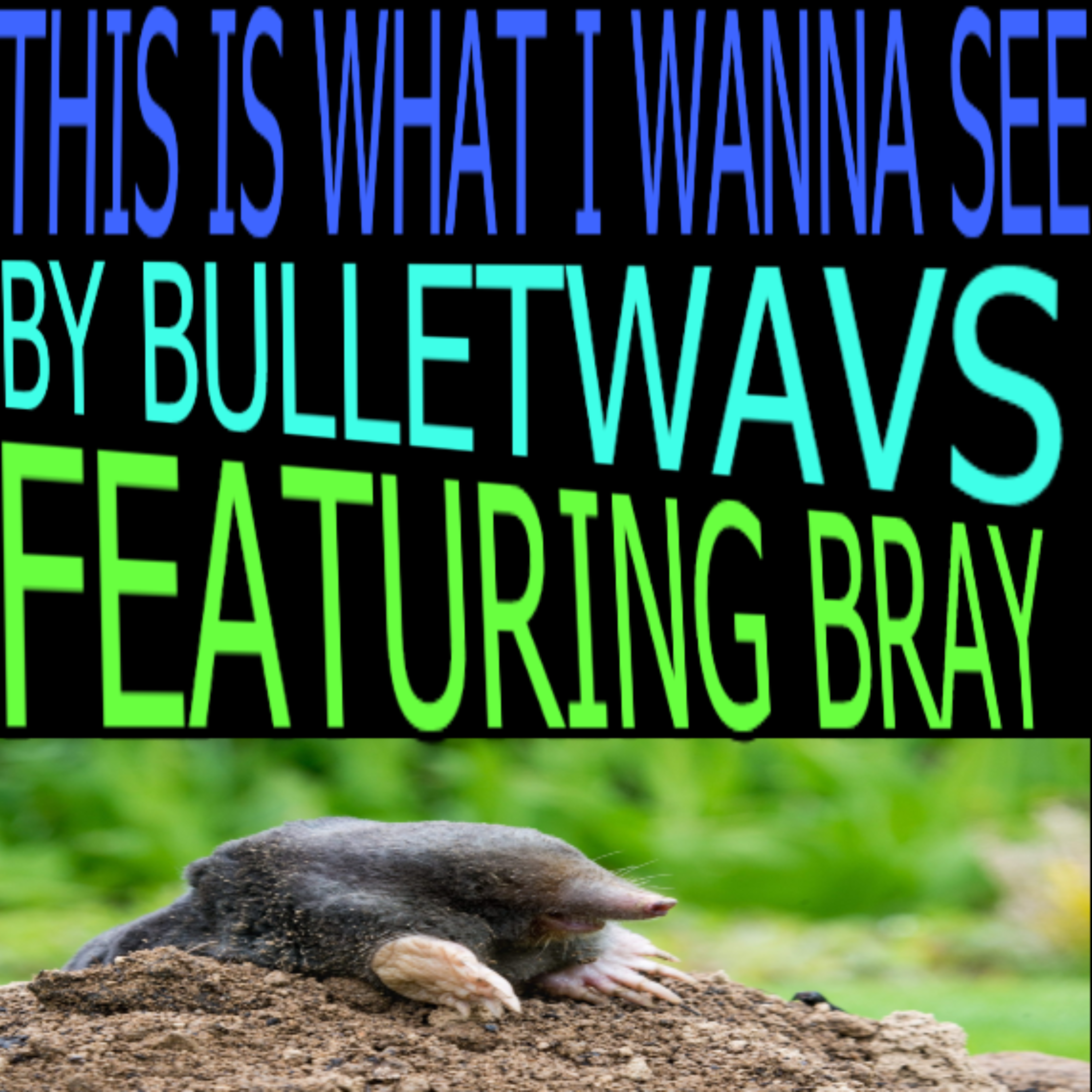 THIS IS WHAT I WANNA SEE by BulletWavs cover art