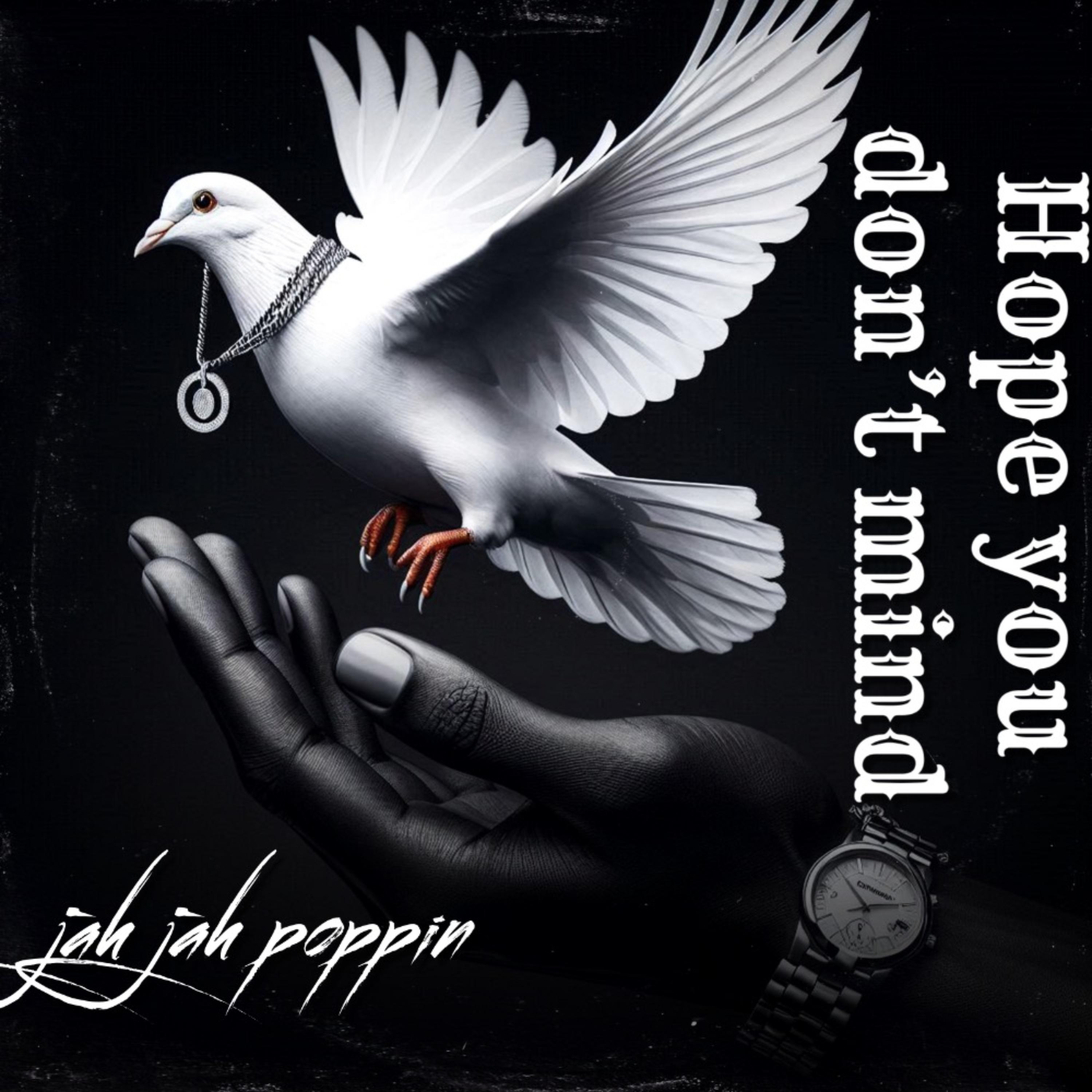 Hope You Don’t Mind artwork