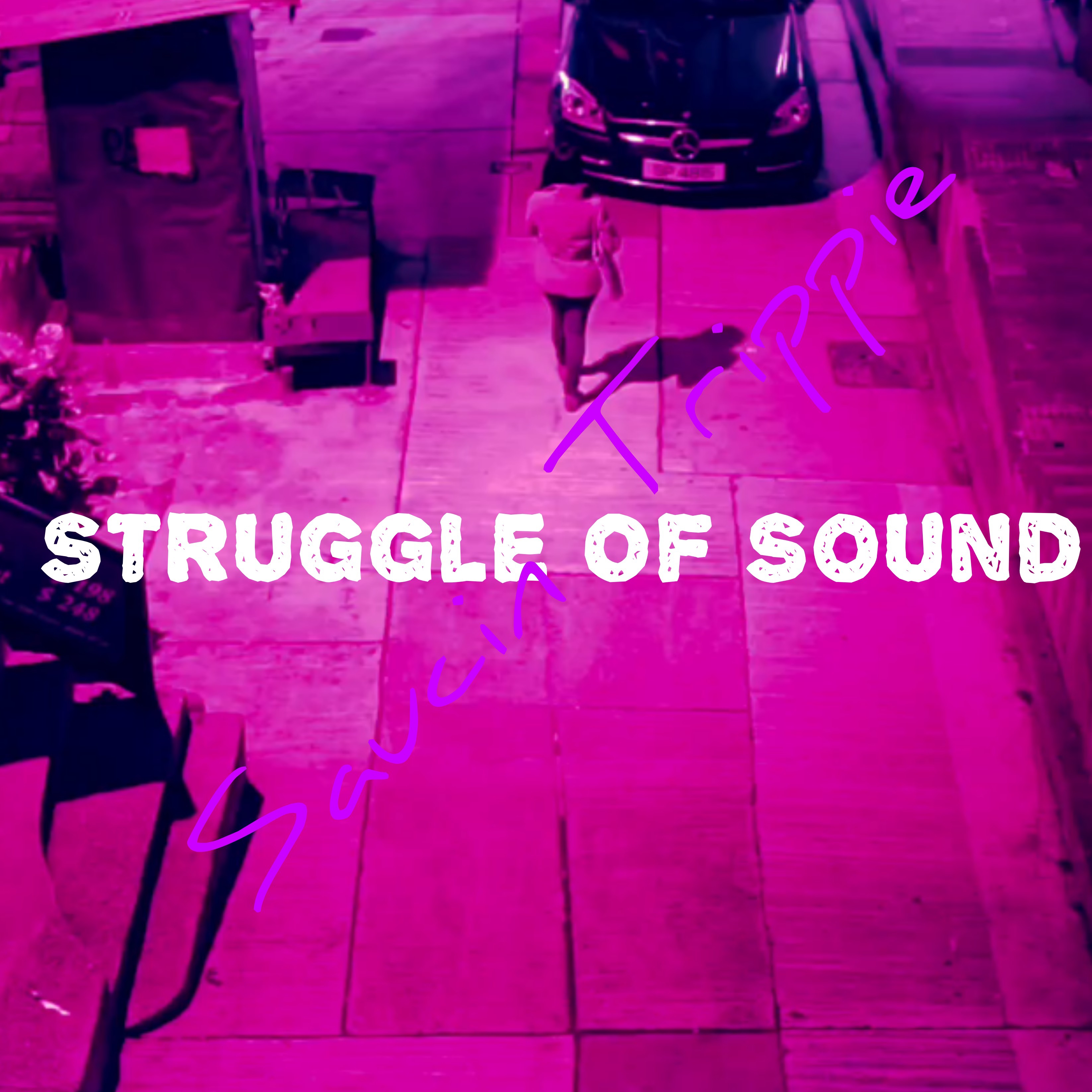 Struggle Of Sound artwork