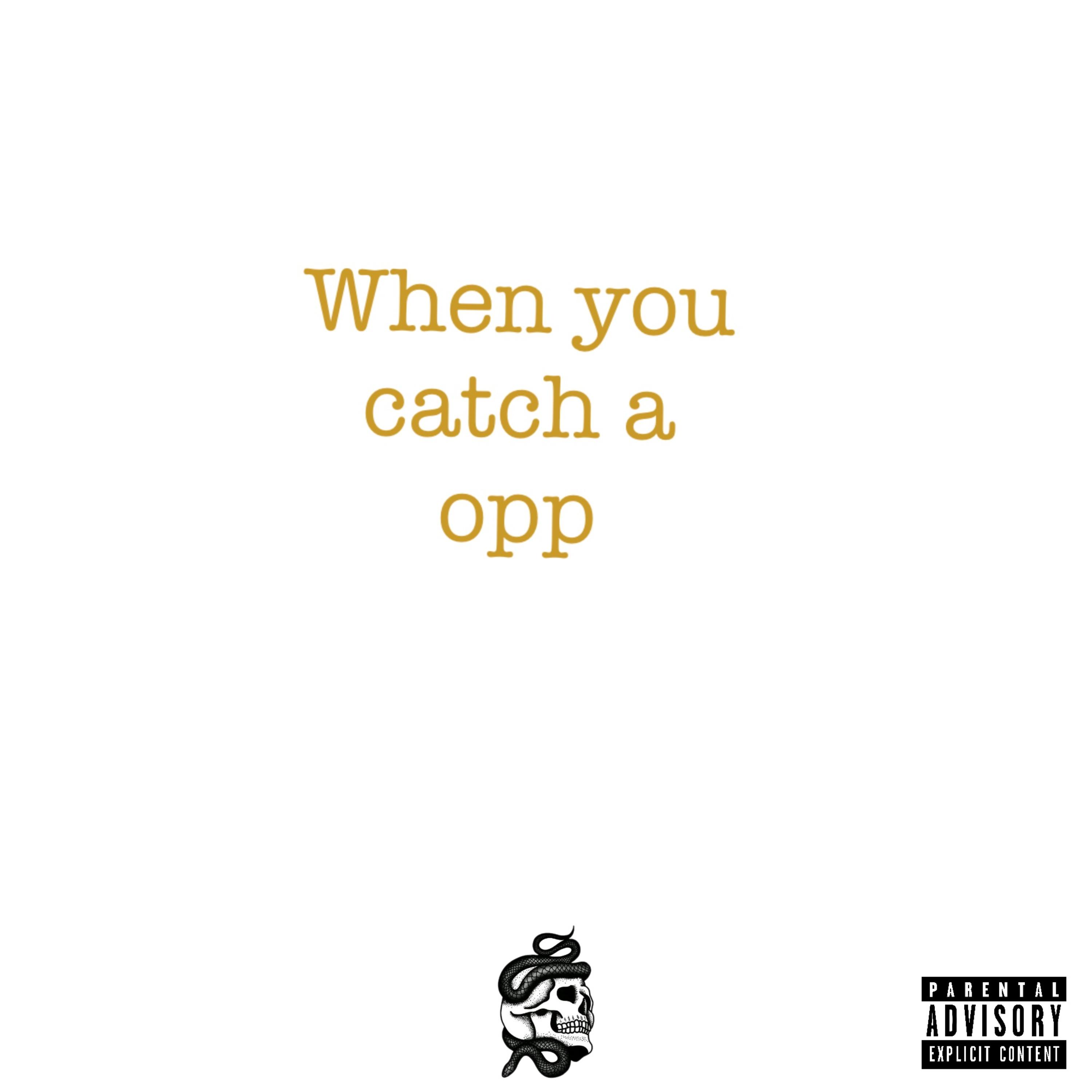 When You Catch A Opp artwork