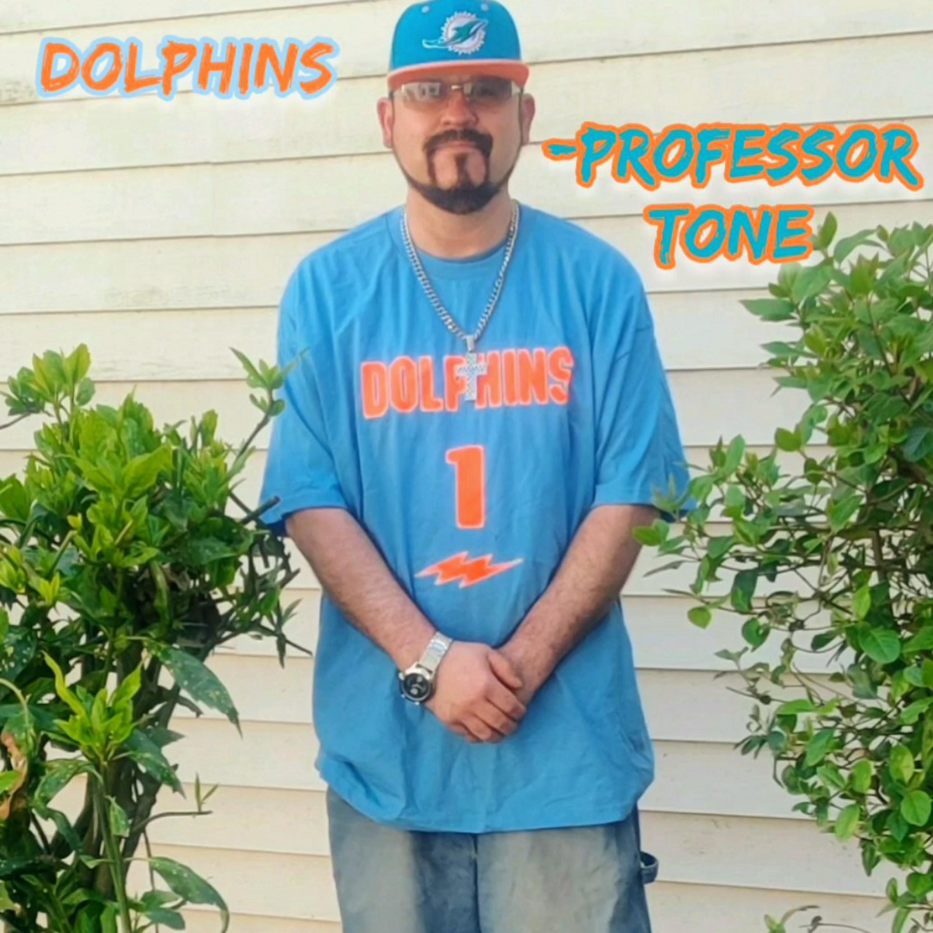 Dolphins artwork