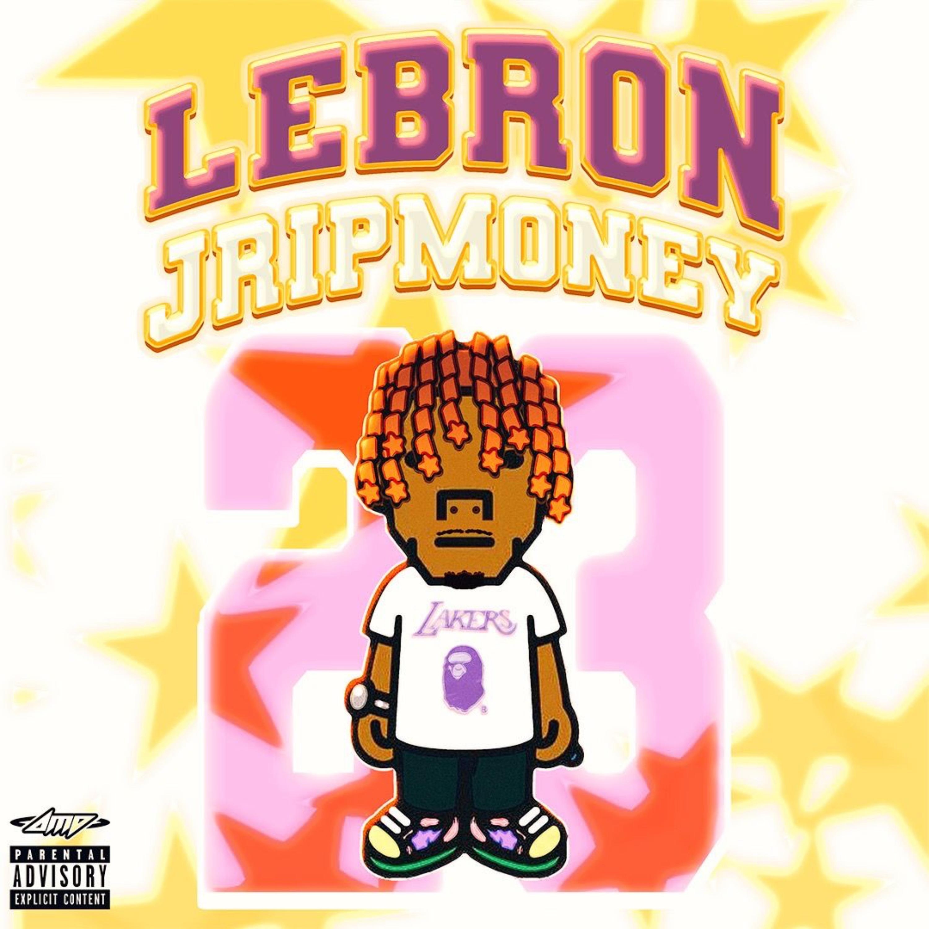 LeBron artwork