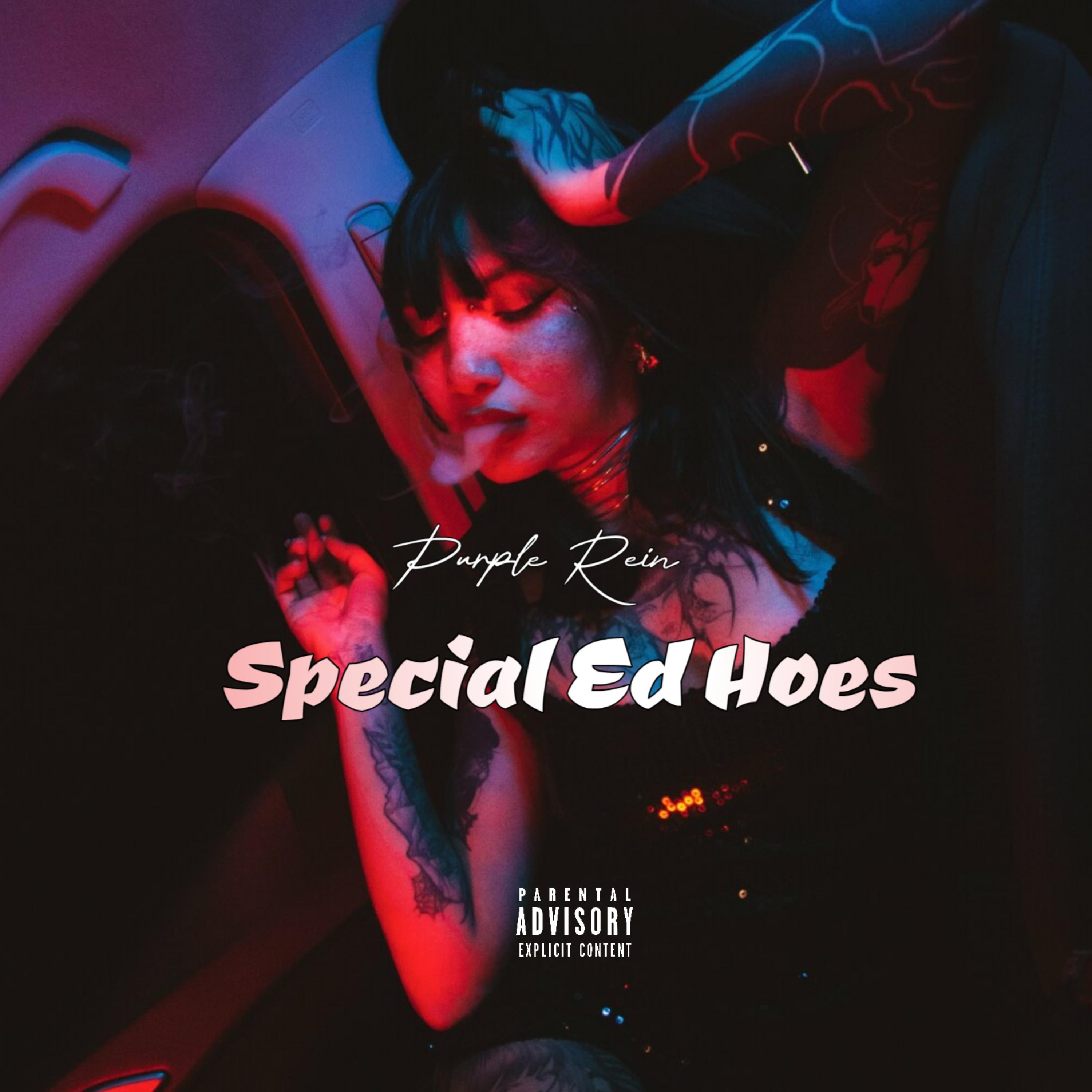 Special Ed Hoes artwork