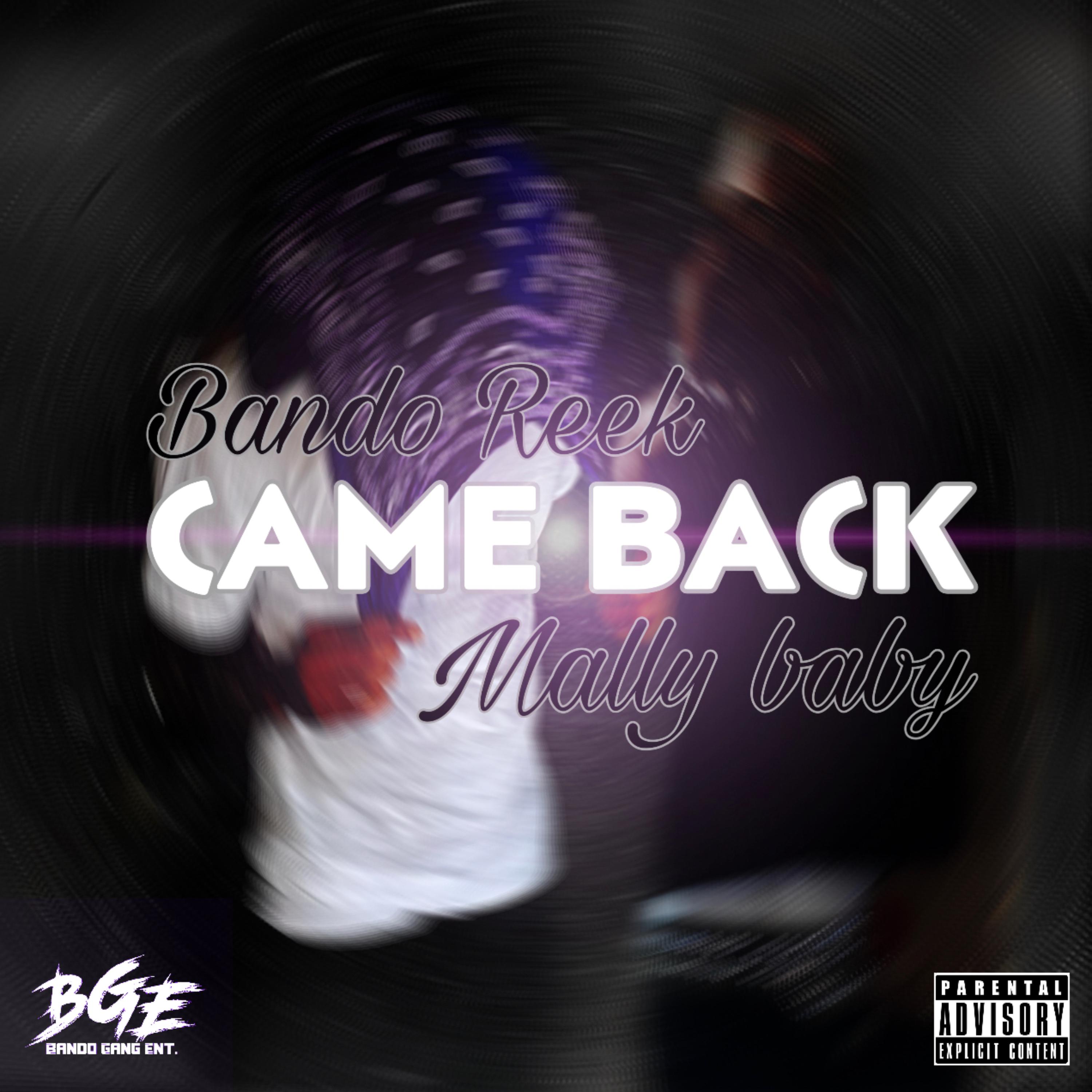Came Back artwork