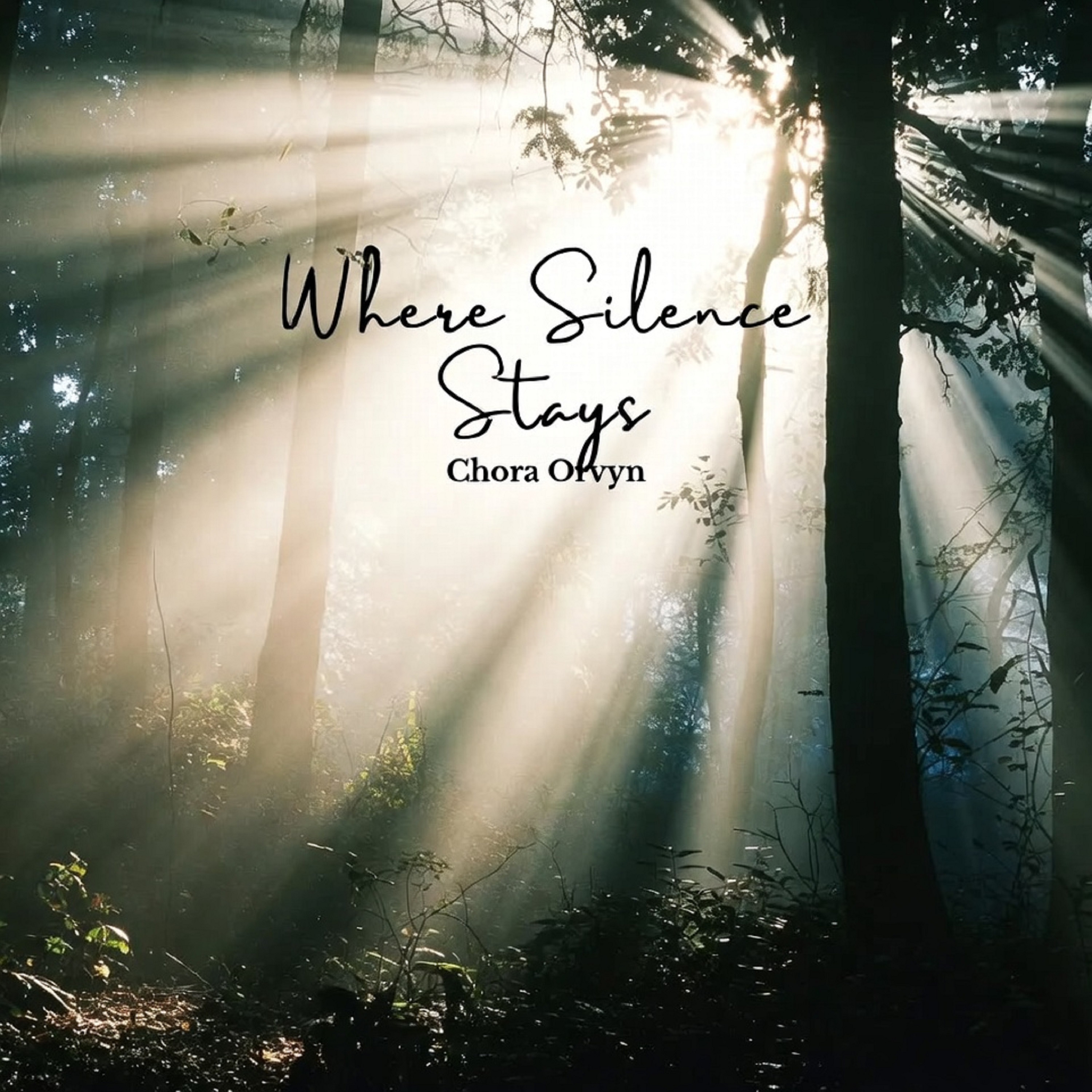 Where Silence Stays artwork