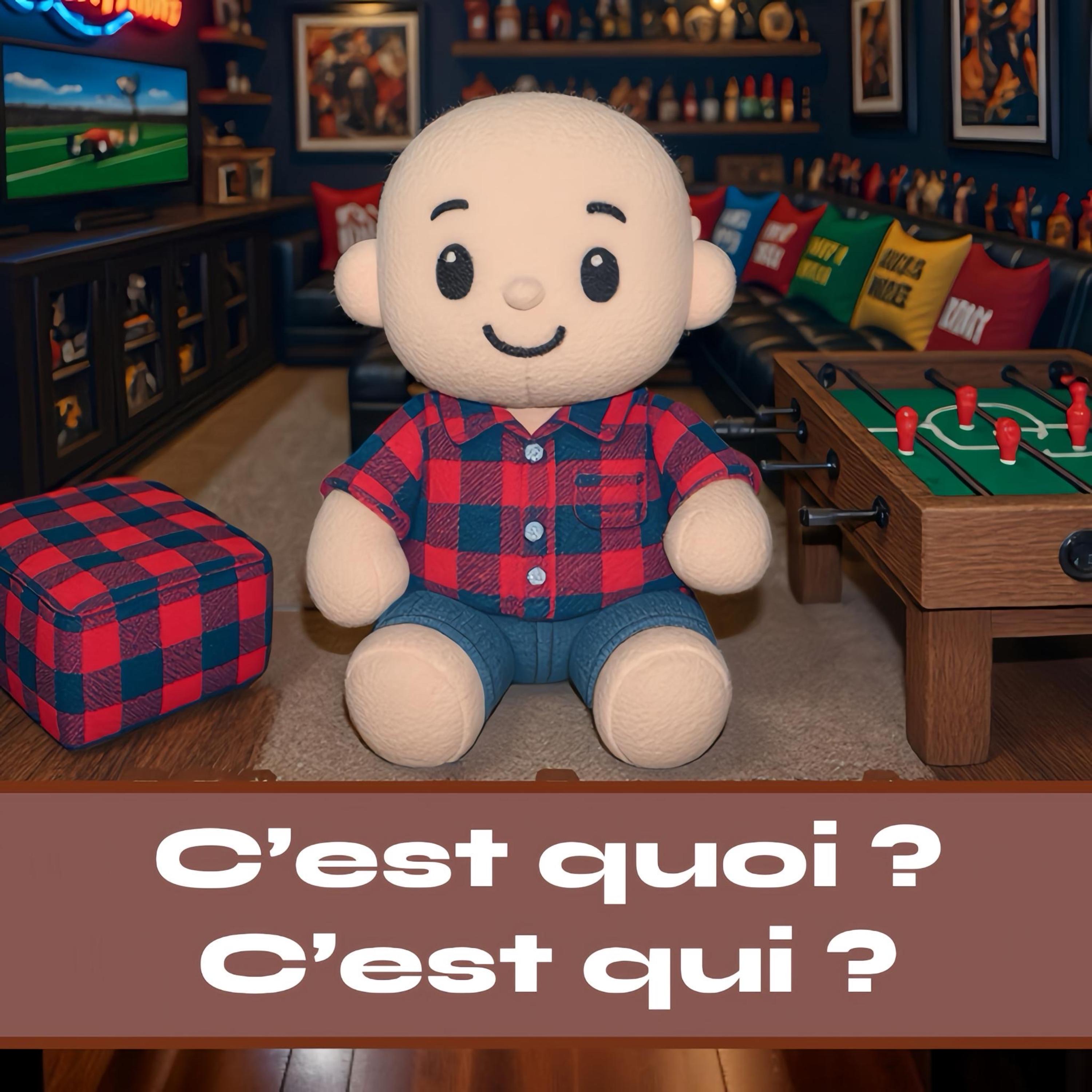 C’est Quoi ? C’est Qui ? artwork