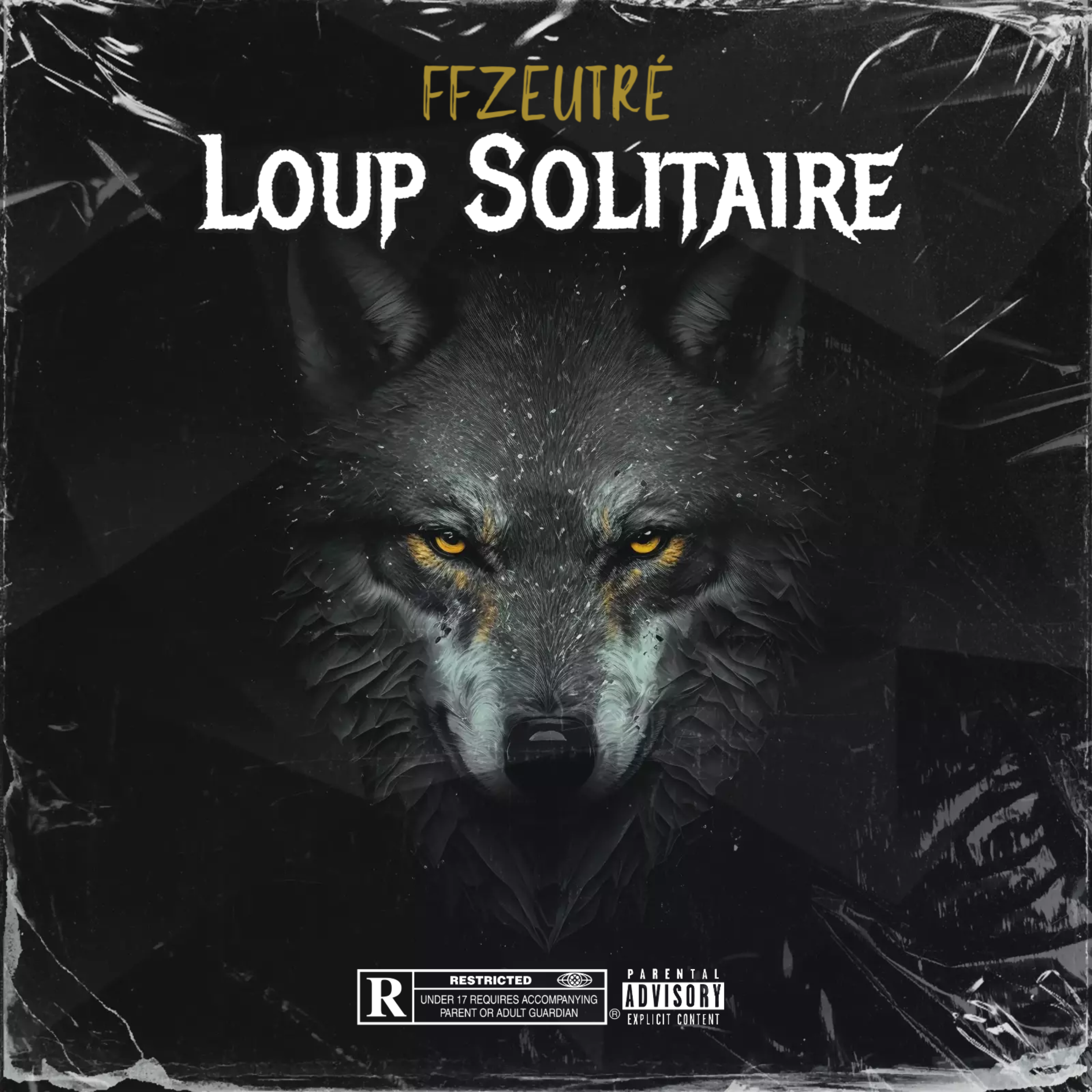 Loup Solitaire by FFZEUTRÉ cover art