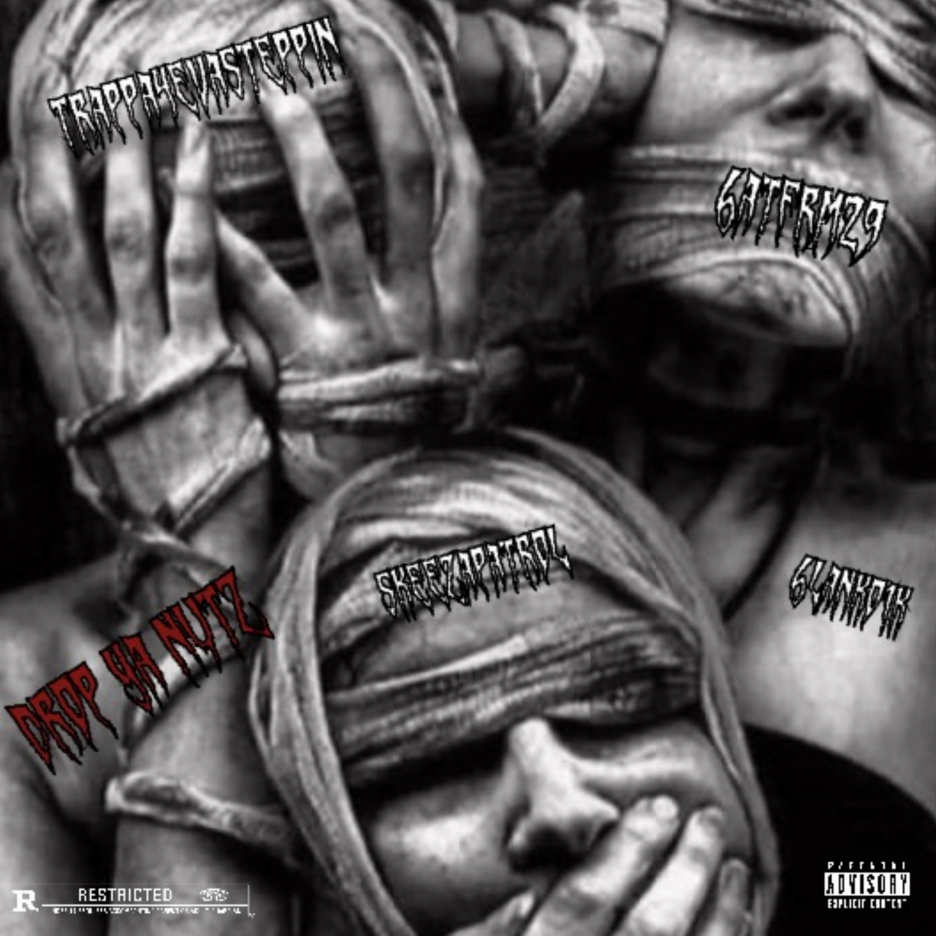 Drop Ya Nutz by Trappa4evasteppin cover art