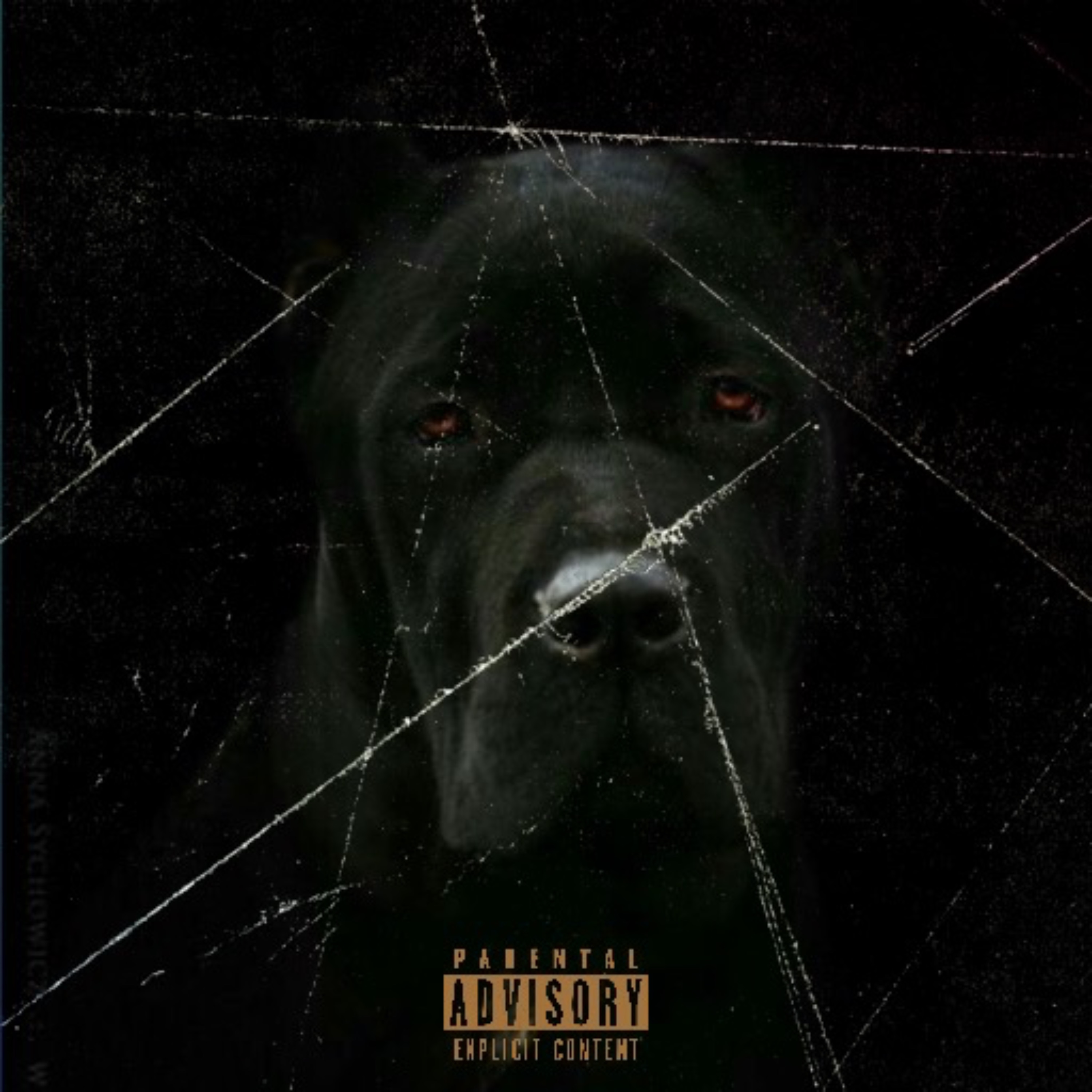 Dog On The Yard artwork