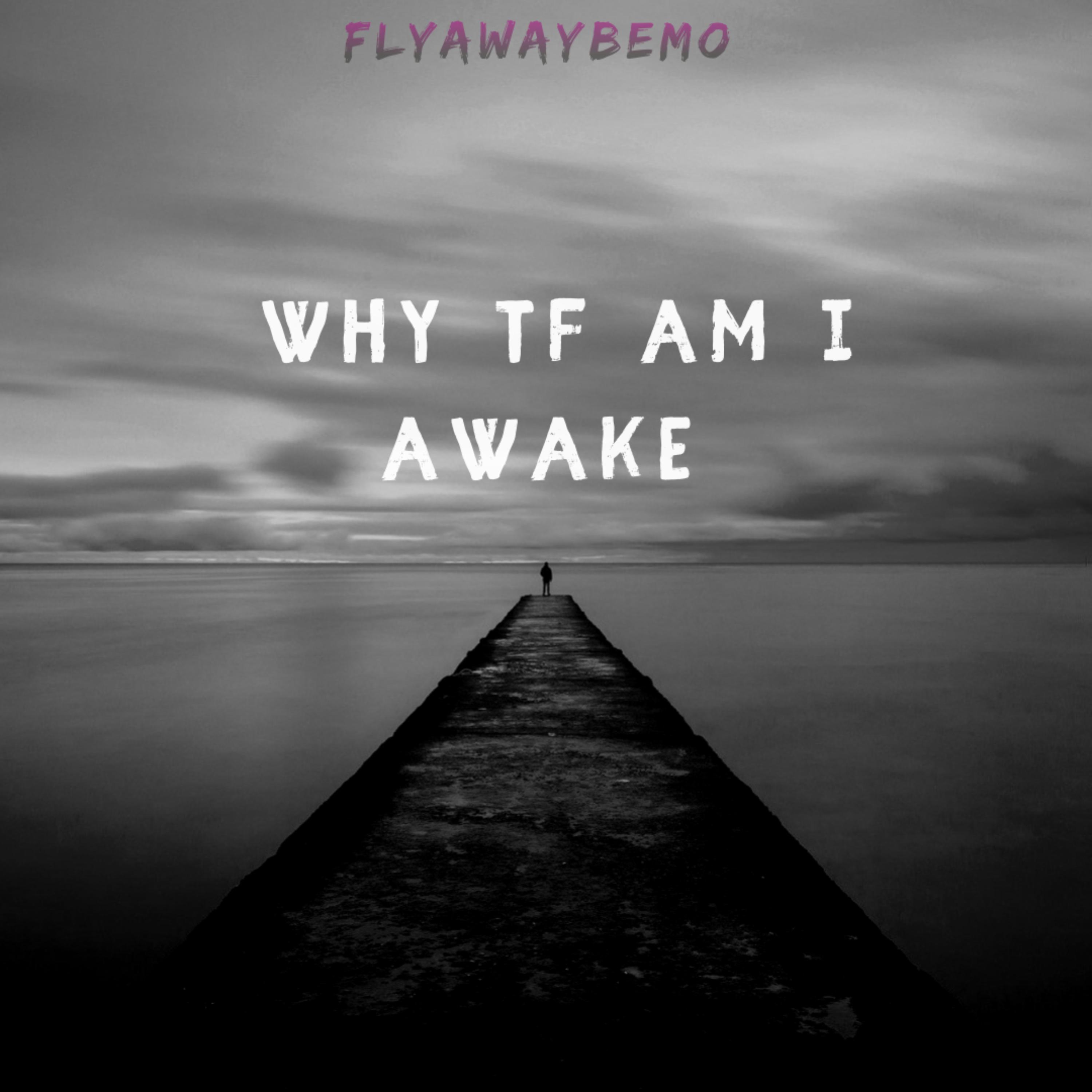 Why TF Am I Awake  artwork
