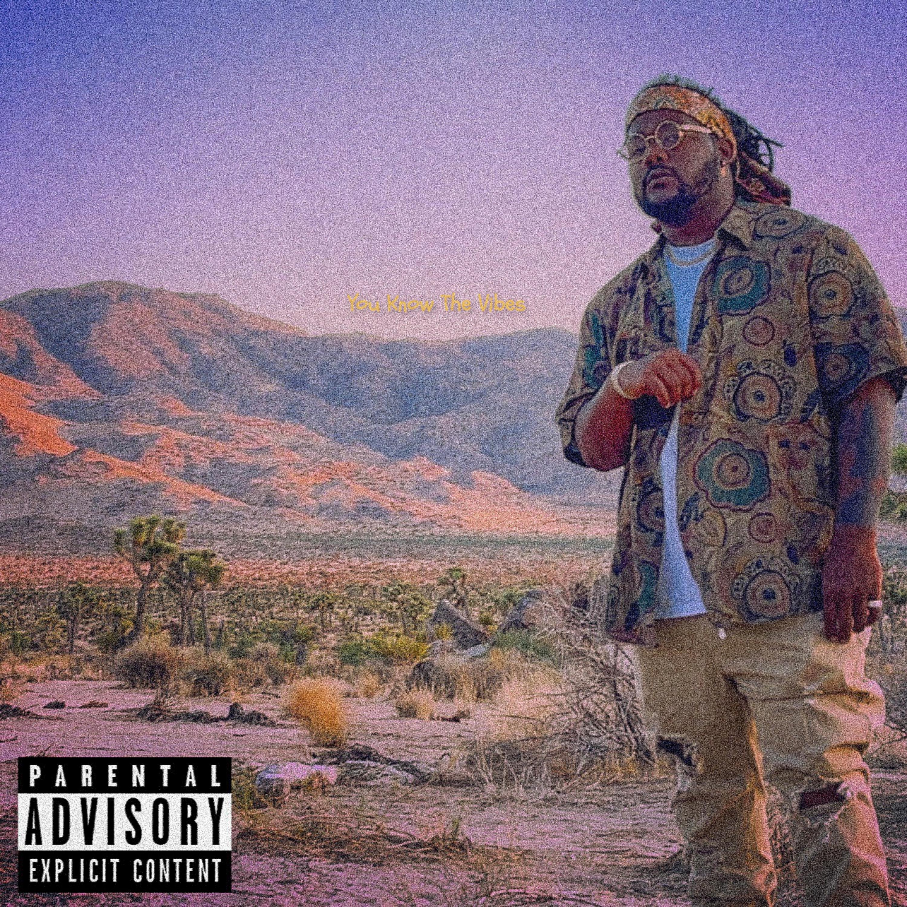 You Know The Vibes artwork
