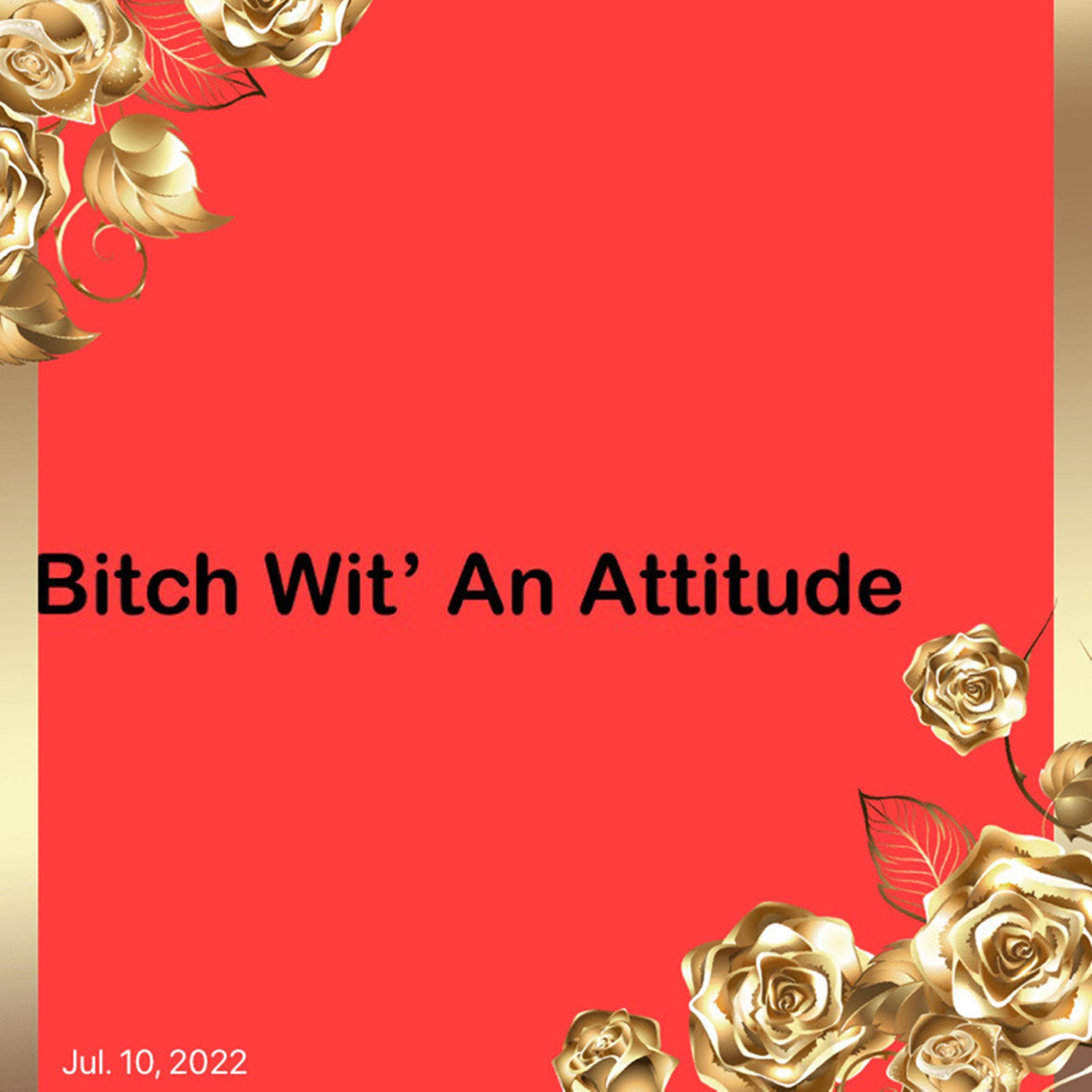 Bitch Wit' An Attitude artwork