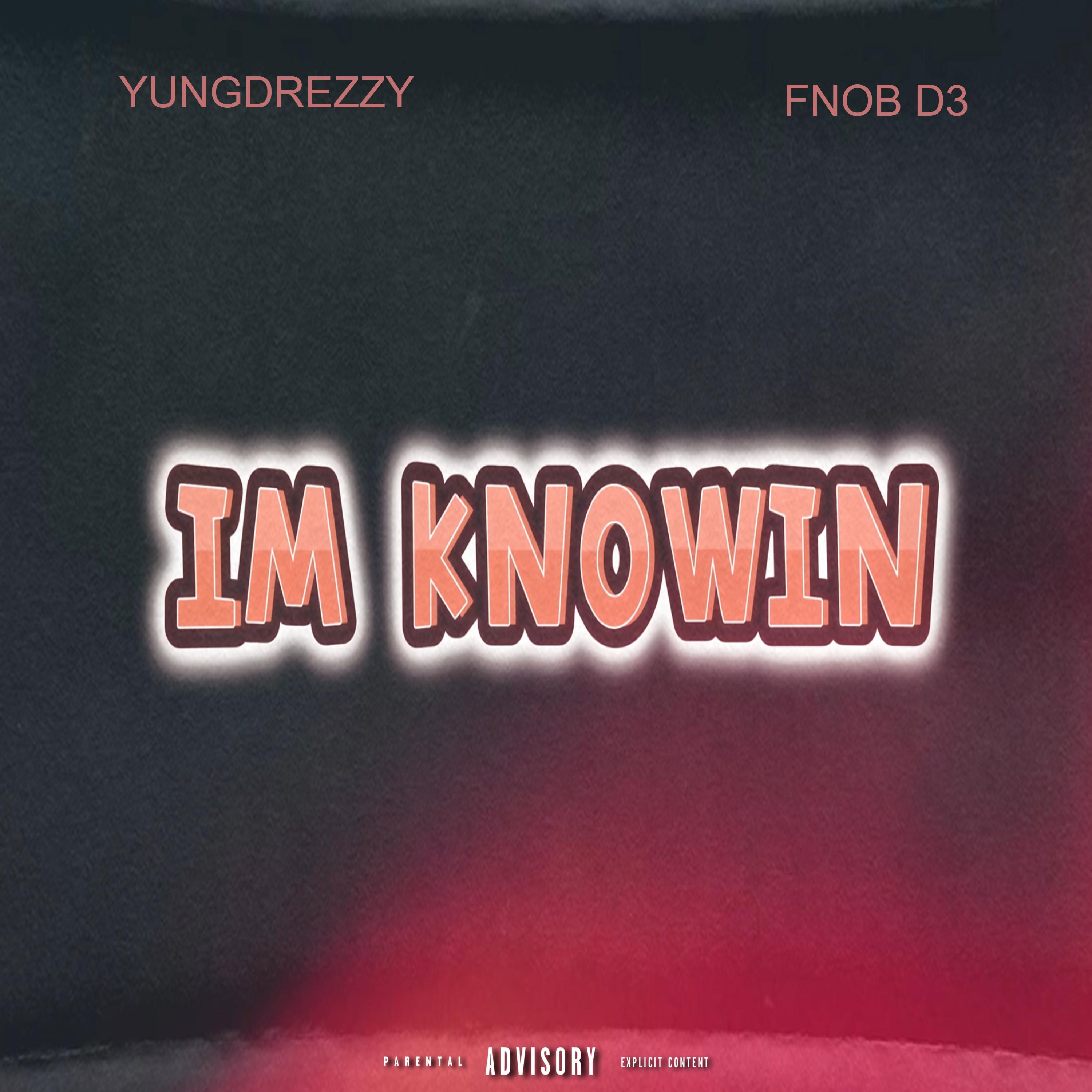 IM KNOWIN artwork