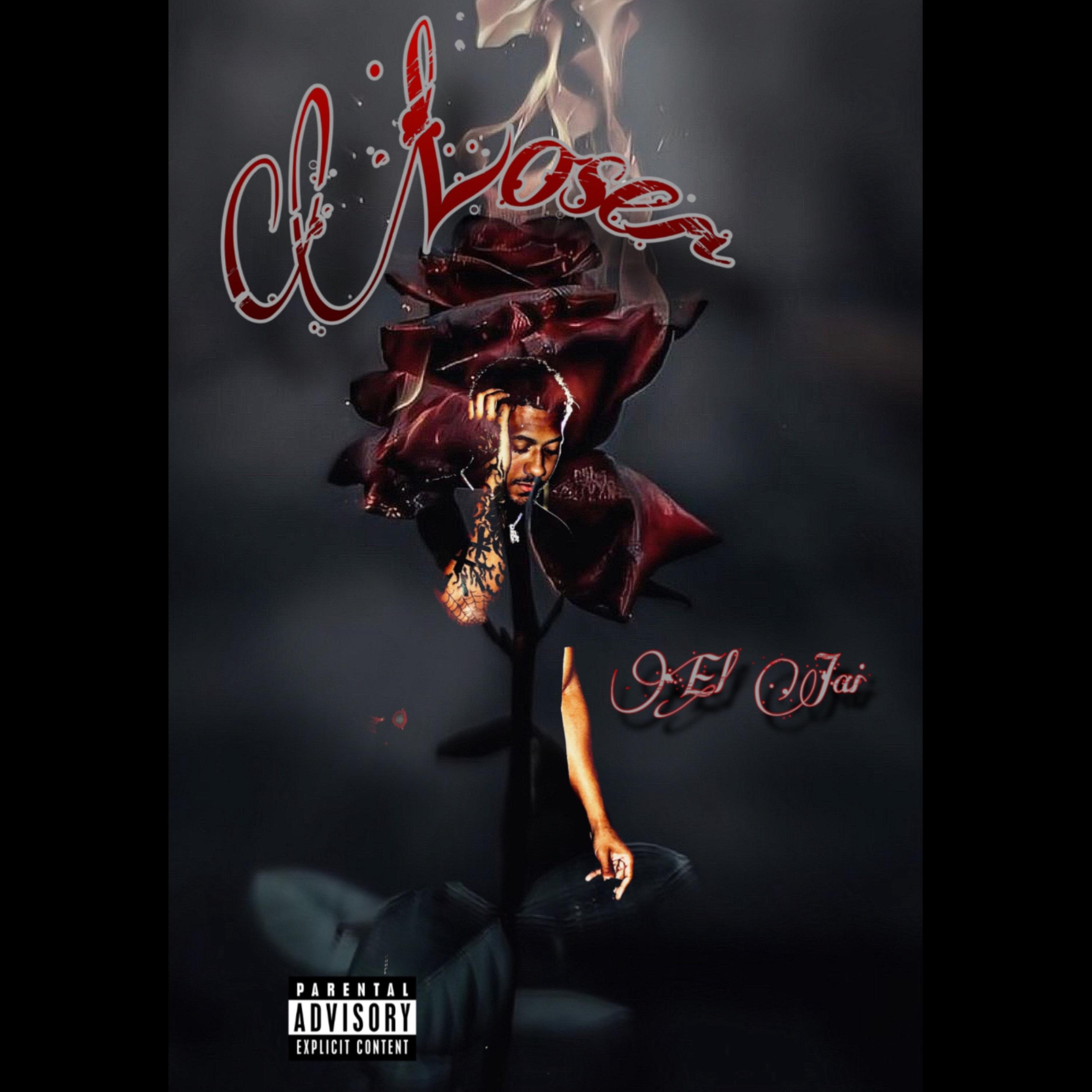 Loser artwork