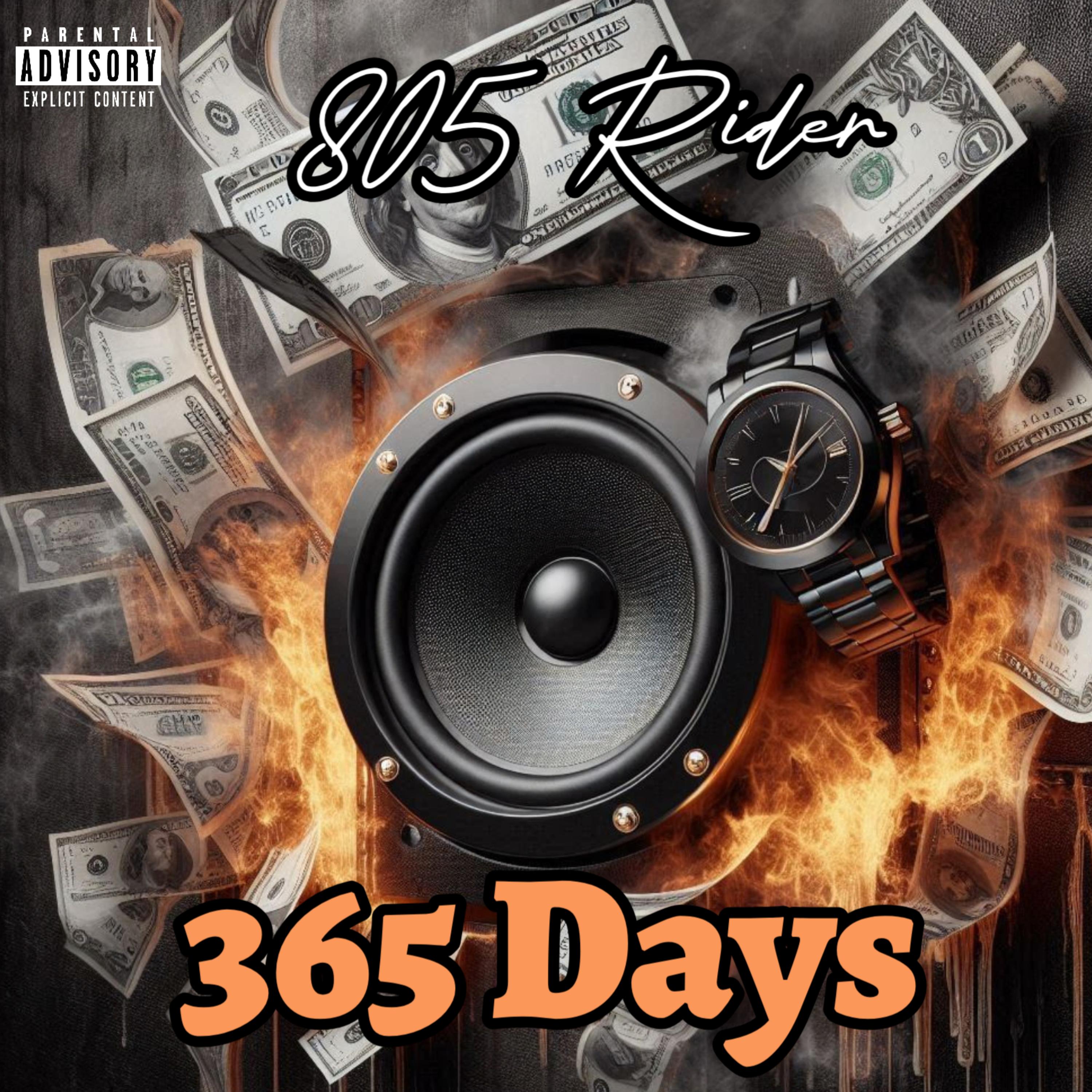 365 Days artwork