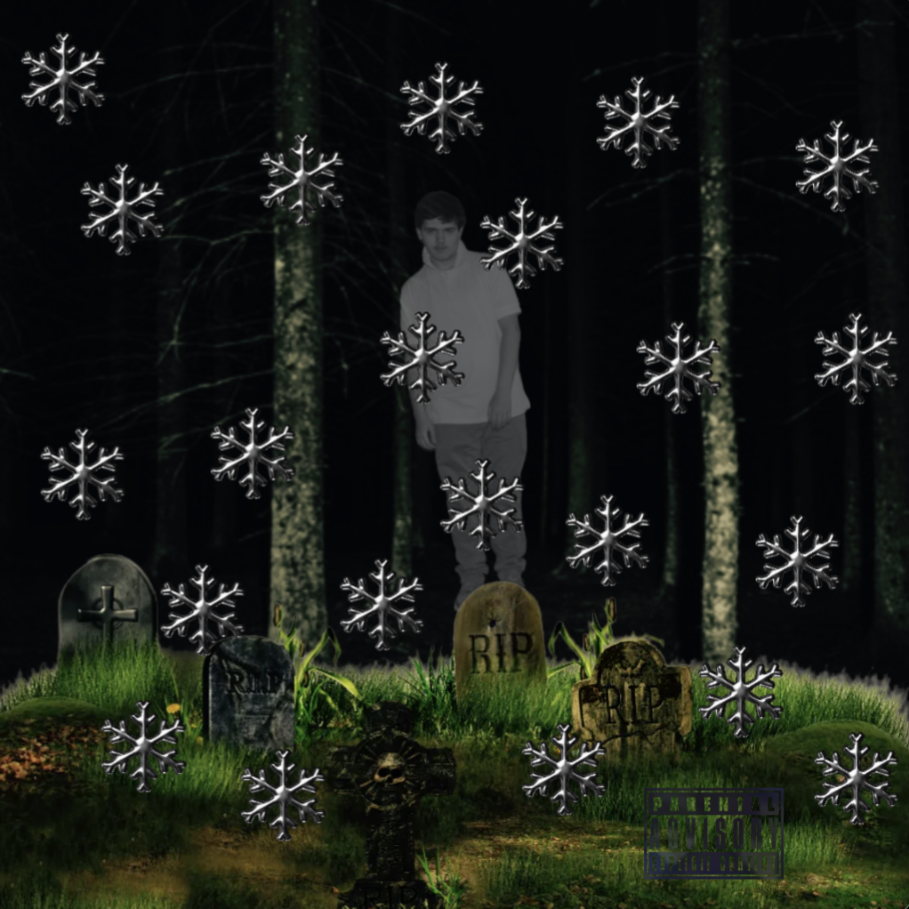 22 Snowflakes artwork