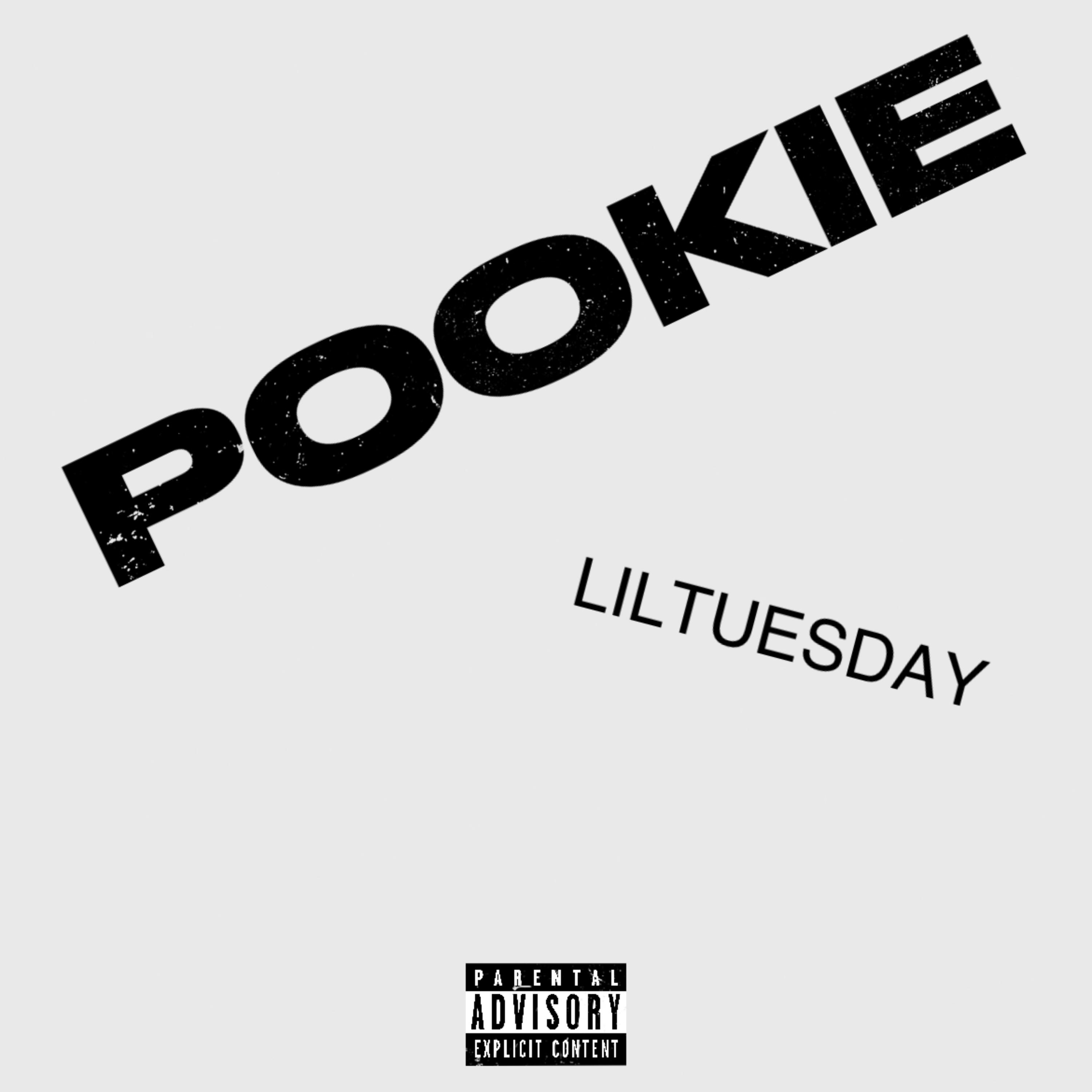POOKIE artwork