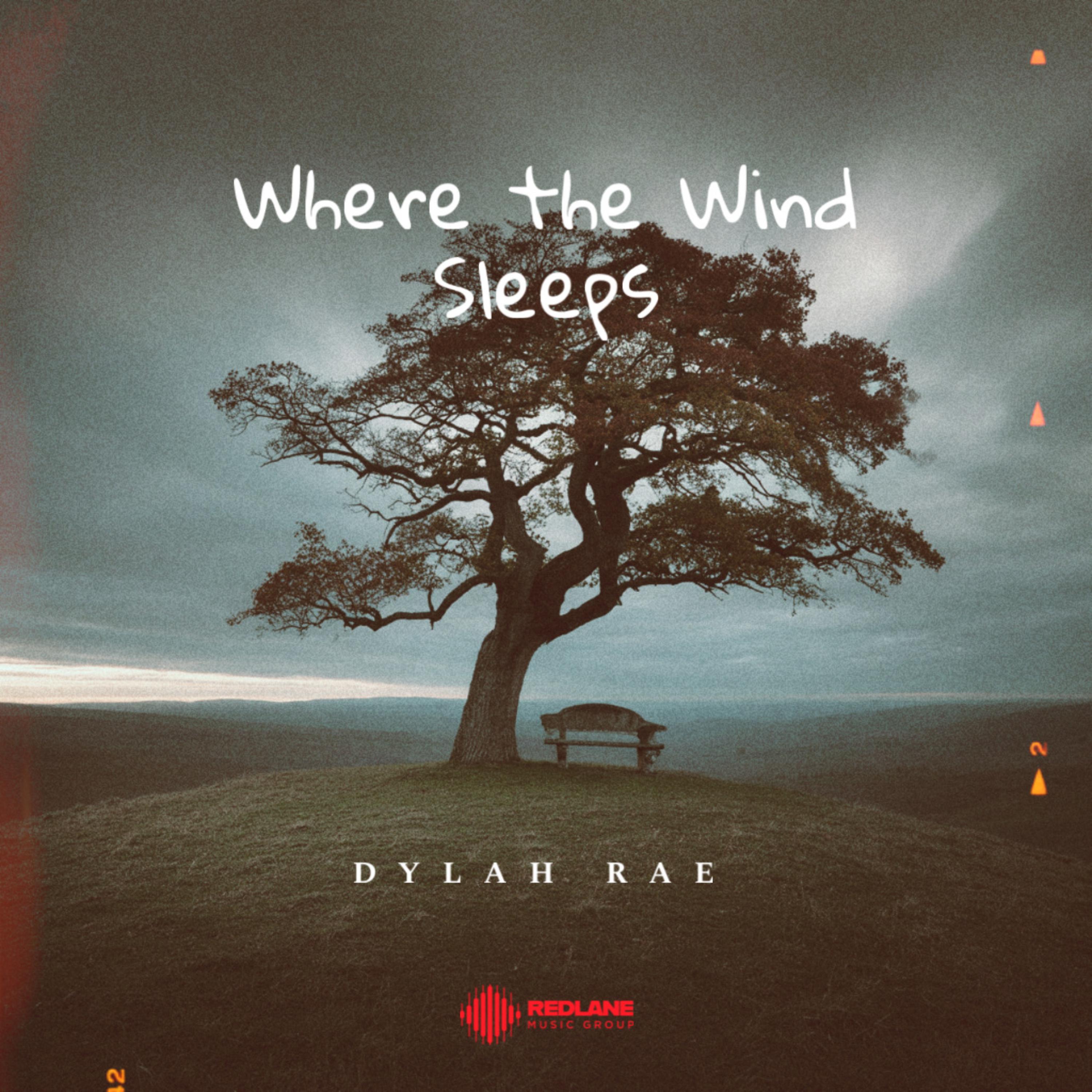 Where the wind sleeps artwork