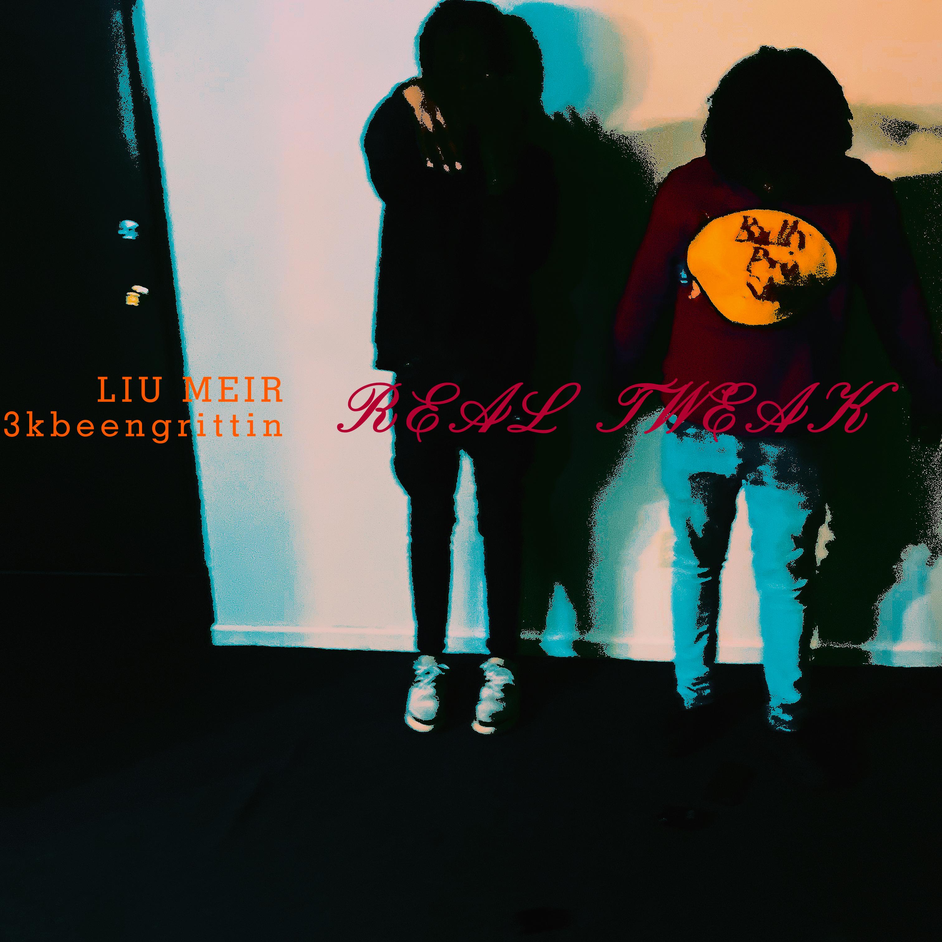 Real Tweak artwork