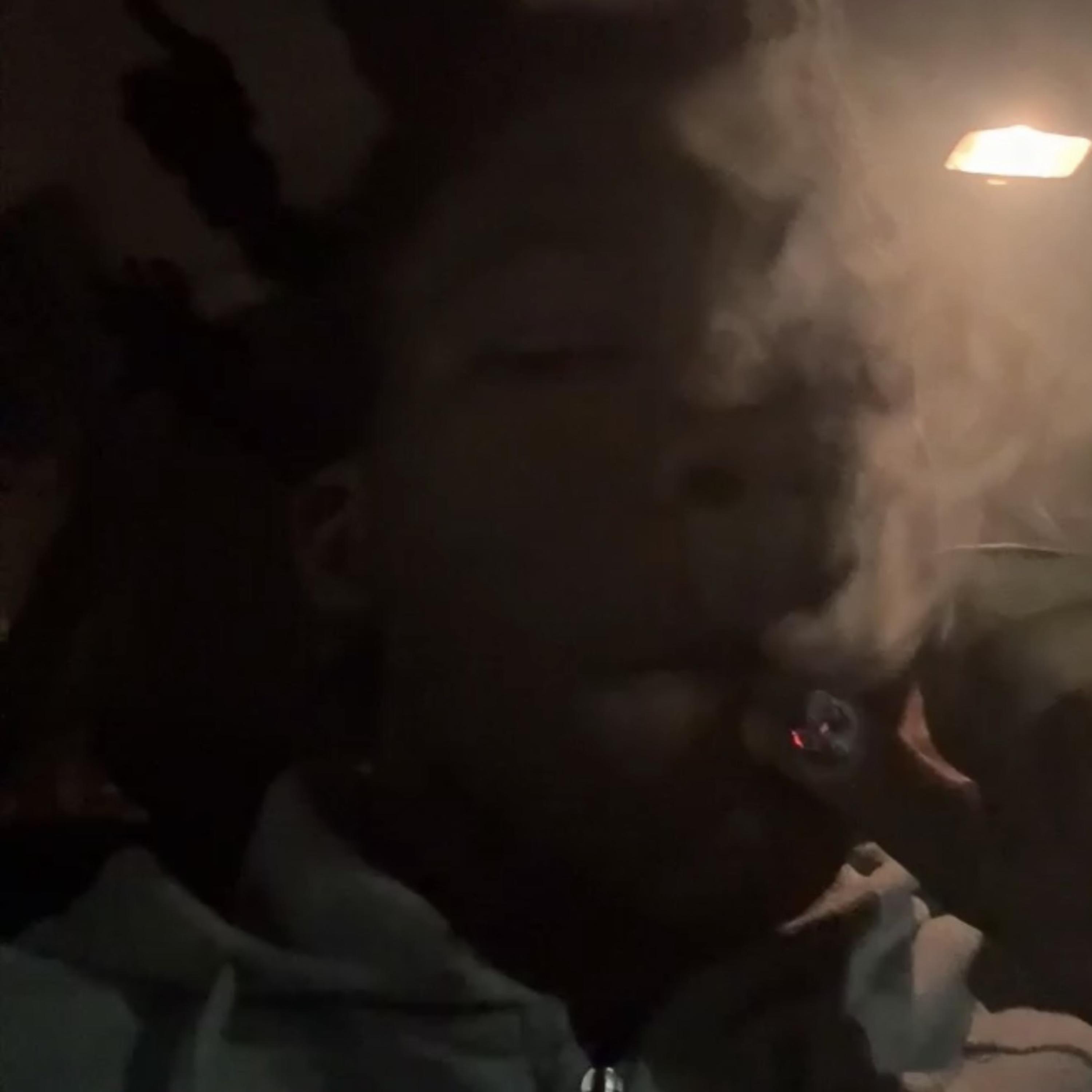 Life by Lulchopp cover art