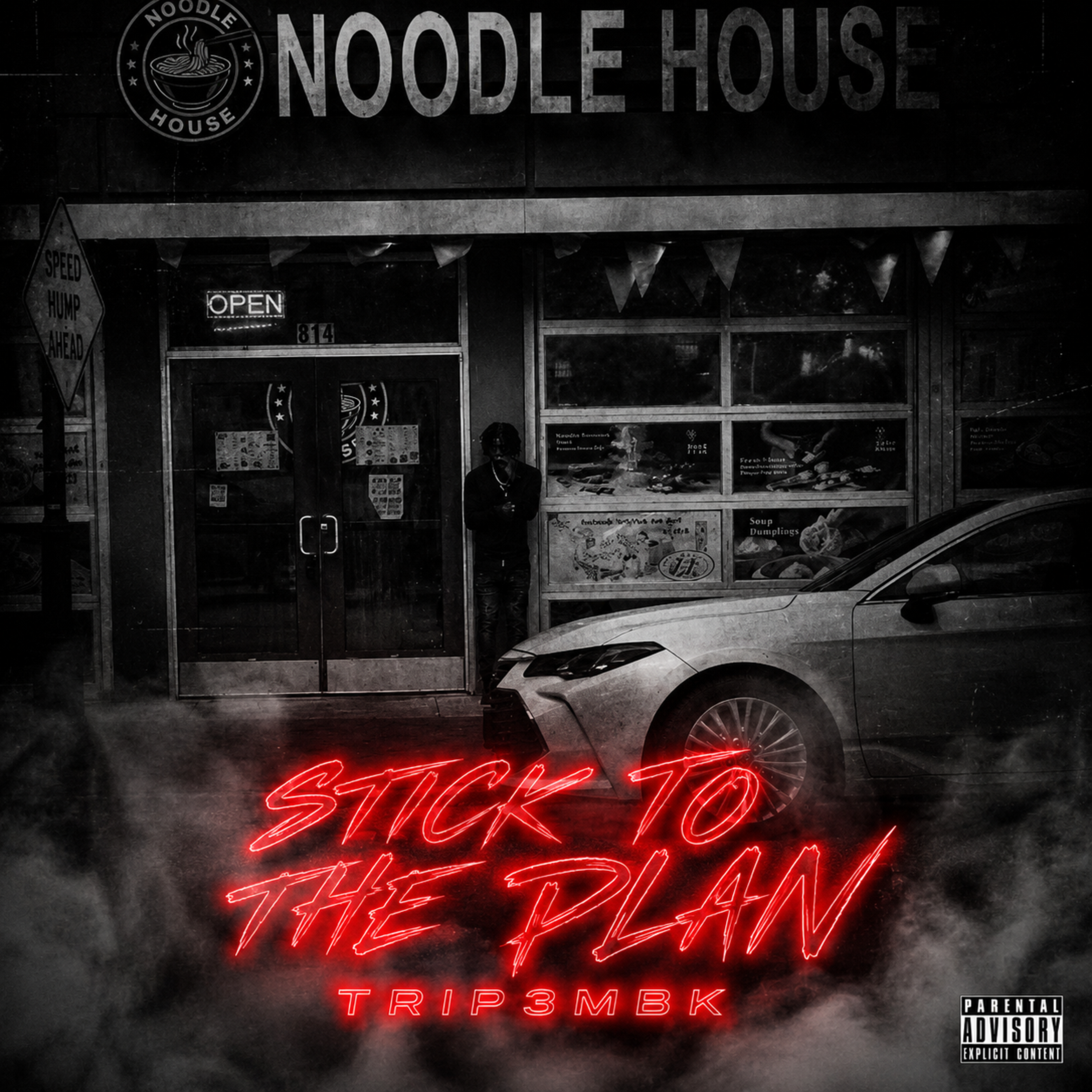 Stick To The Plan by Trip3mbk cover art