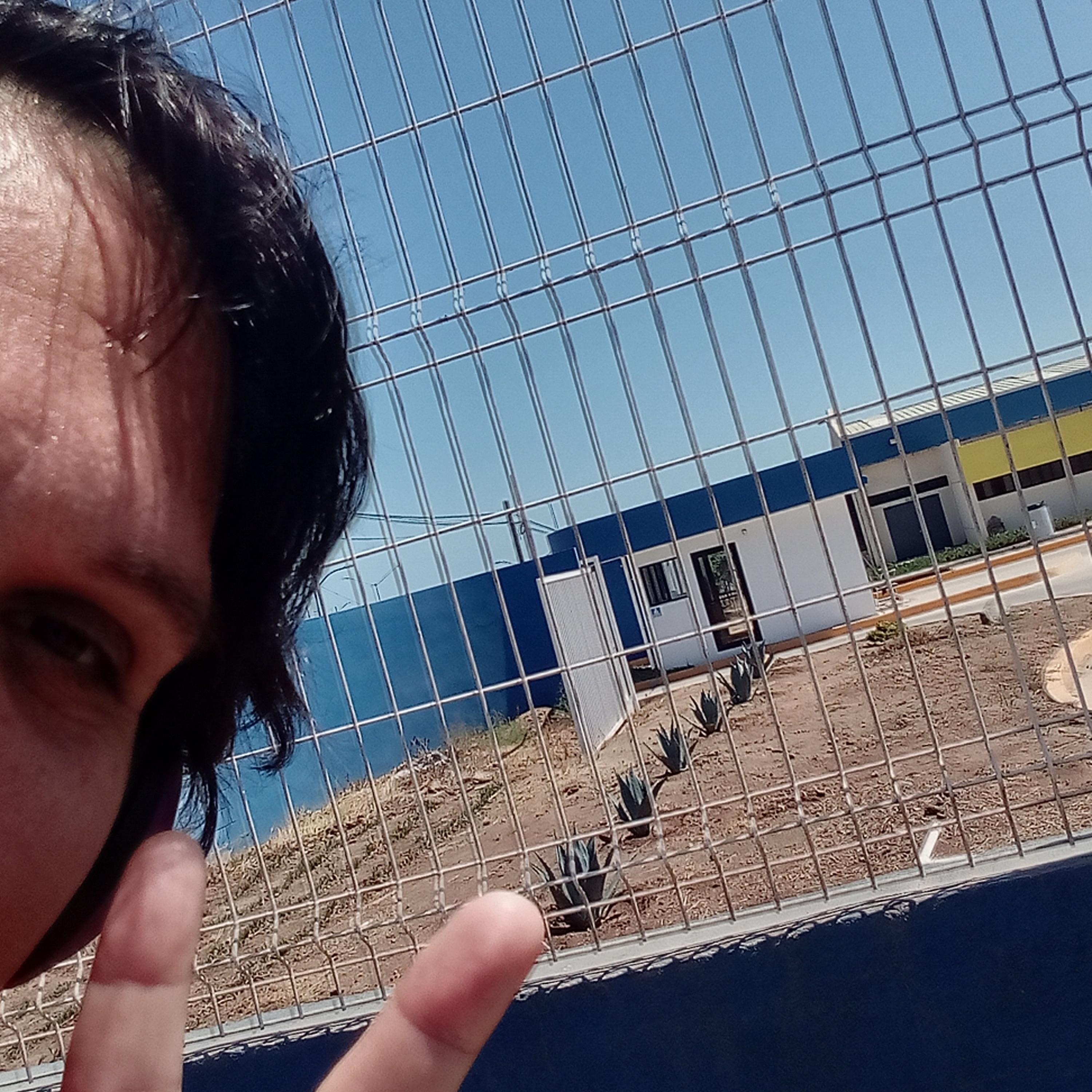 White Drawf Sun artwork