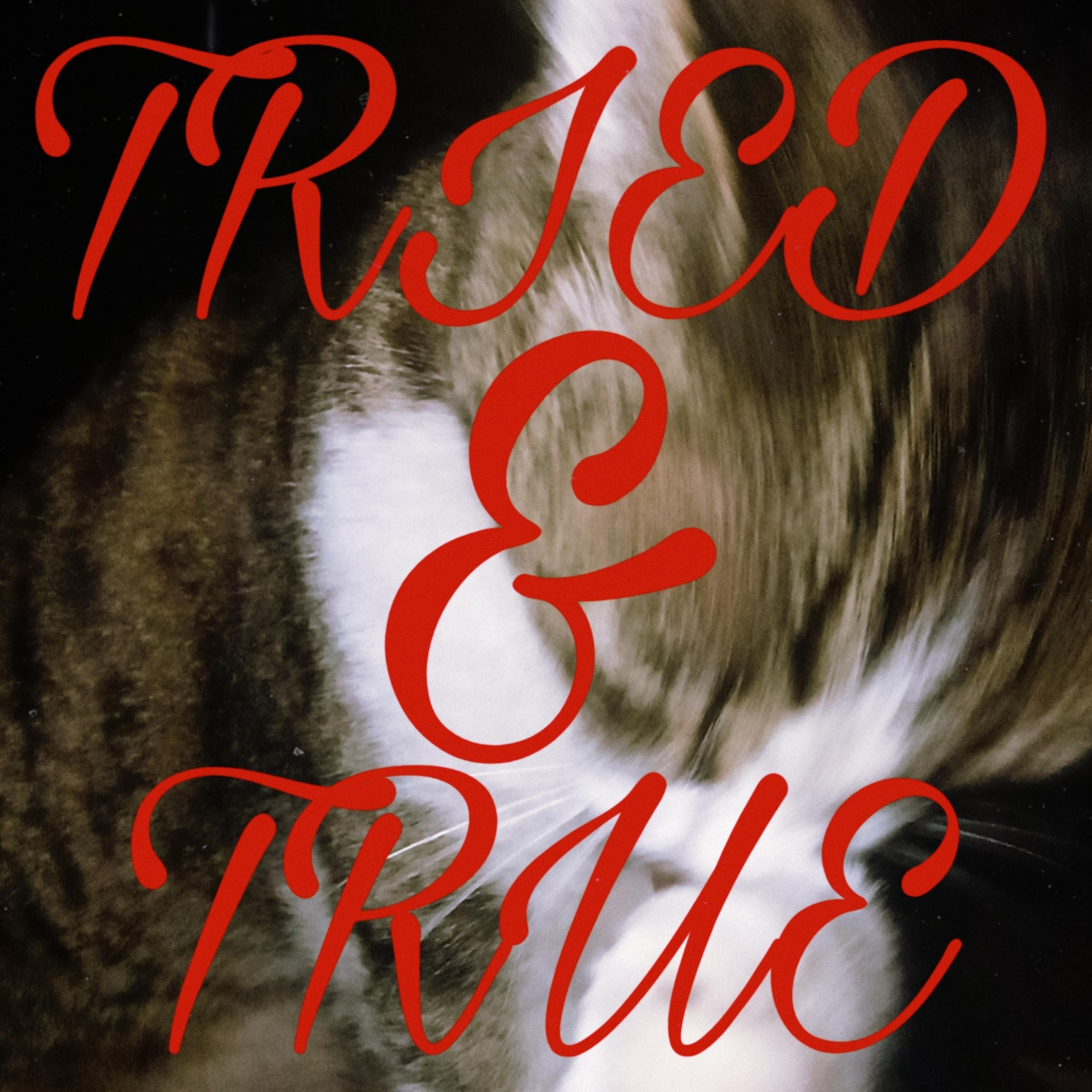 Tried & True artwork