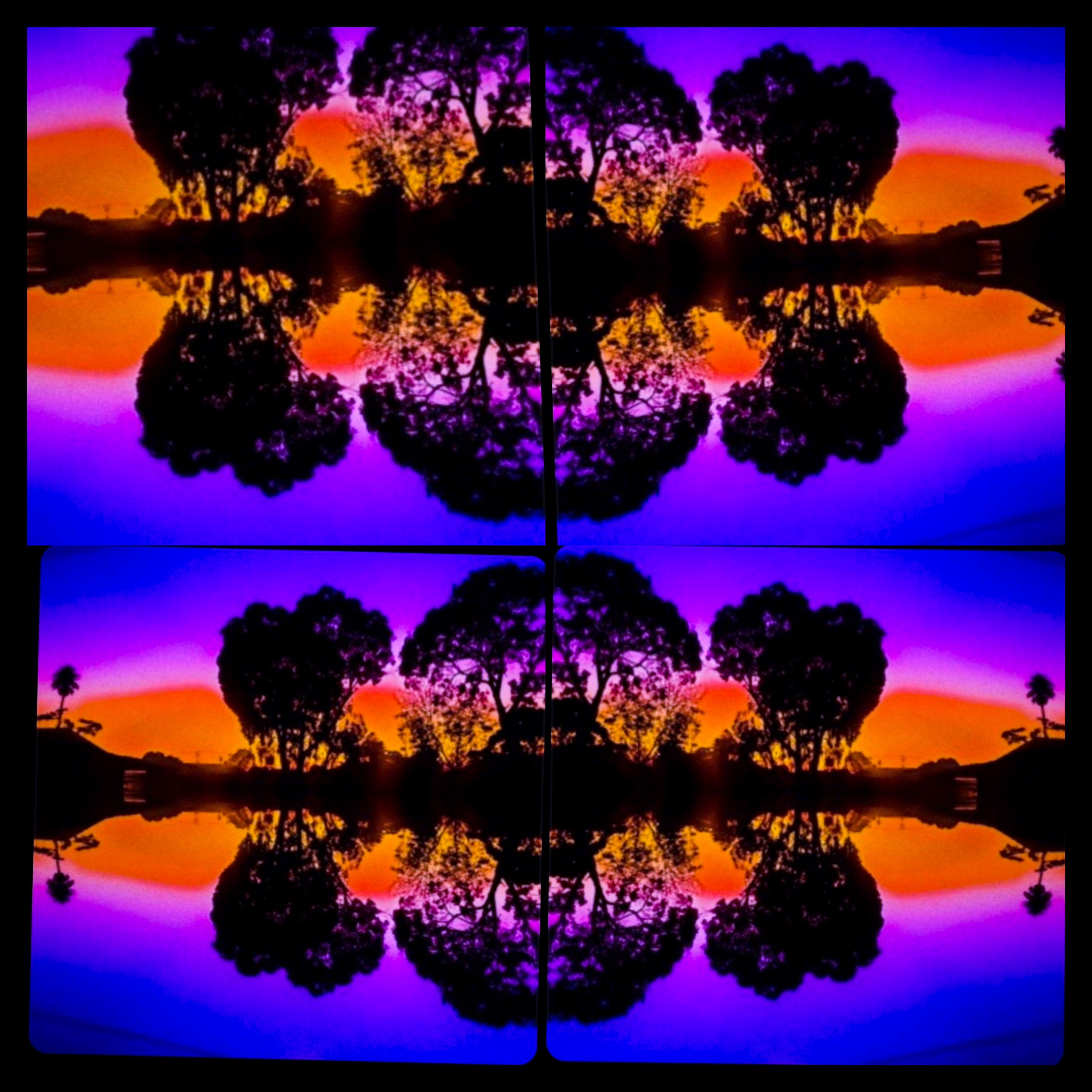 Dim The Light (Live) artwork