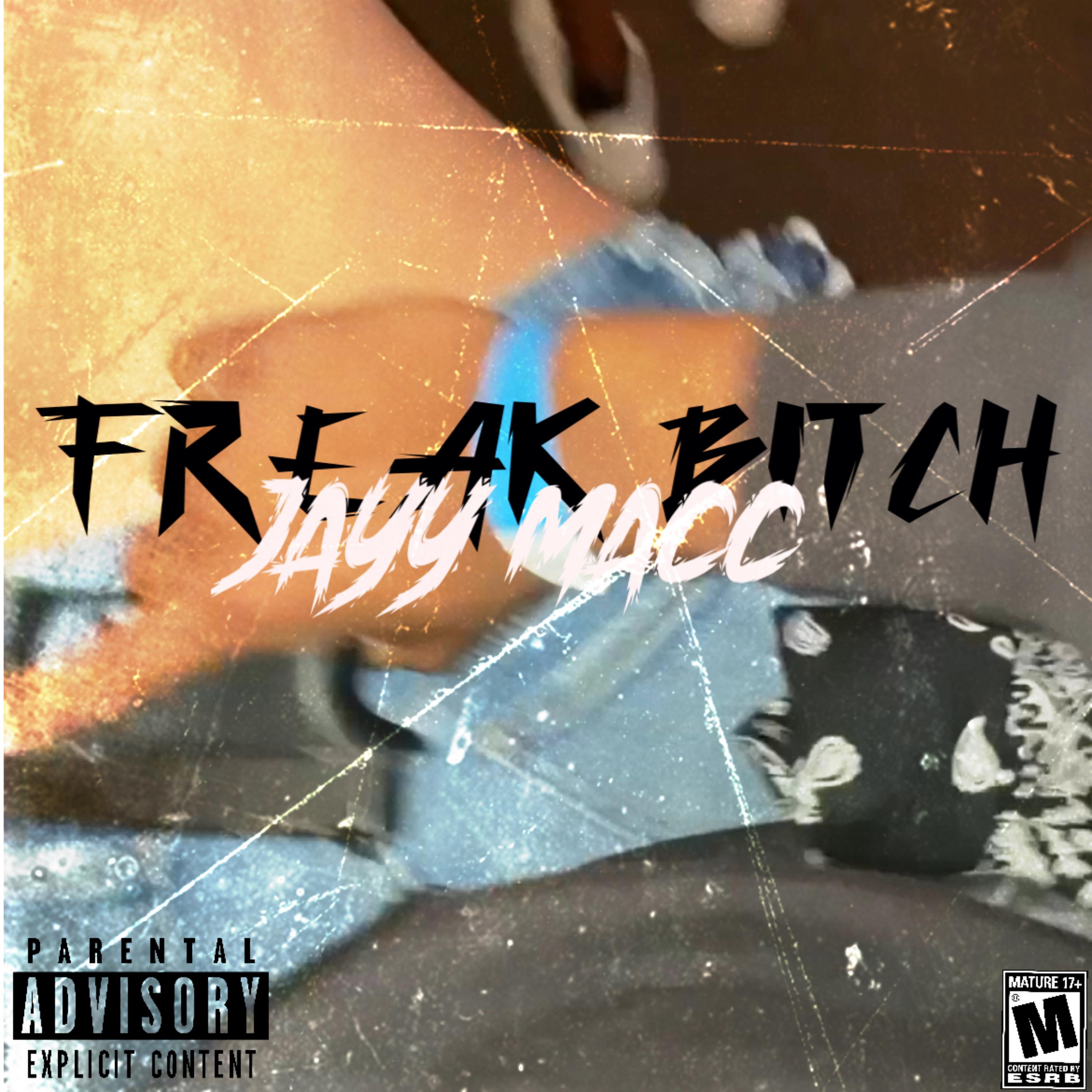 FREAK BITCH artwork