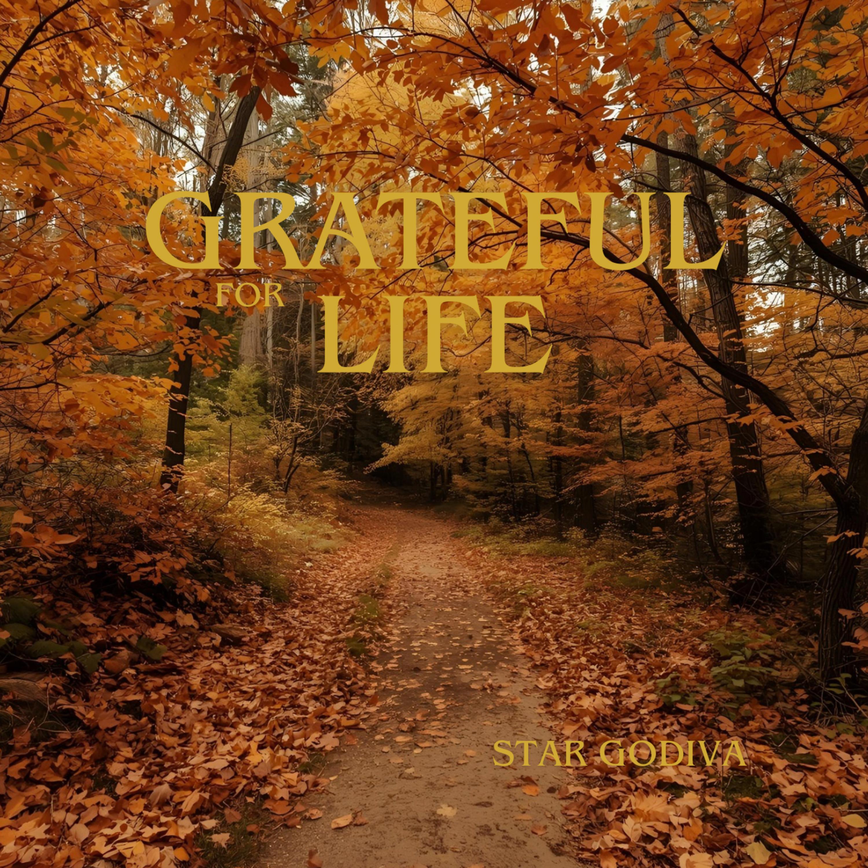 Grateful For Life artwork