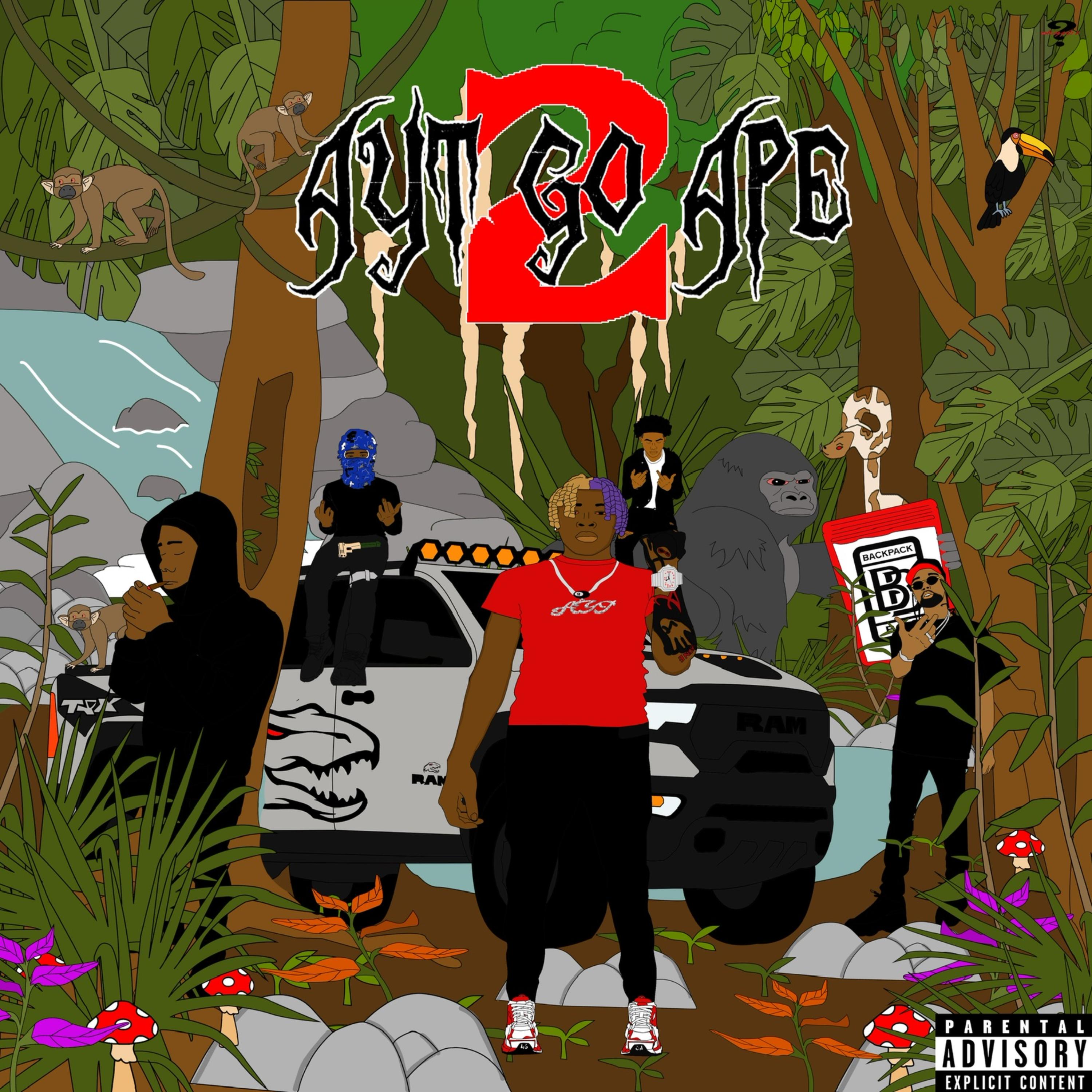 AYT GO APE II artwork