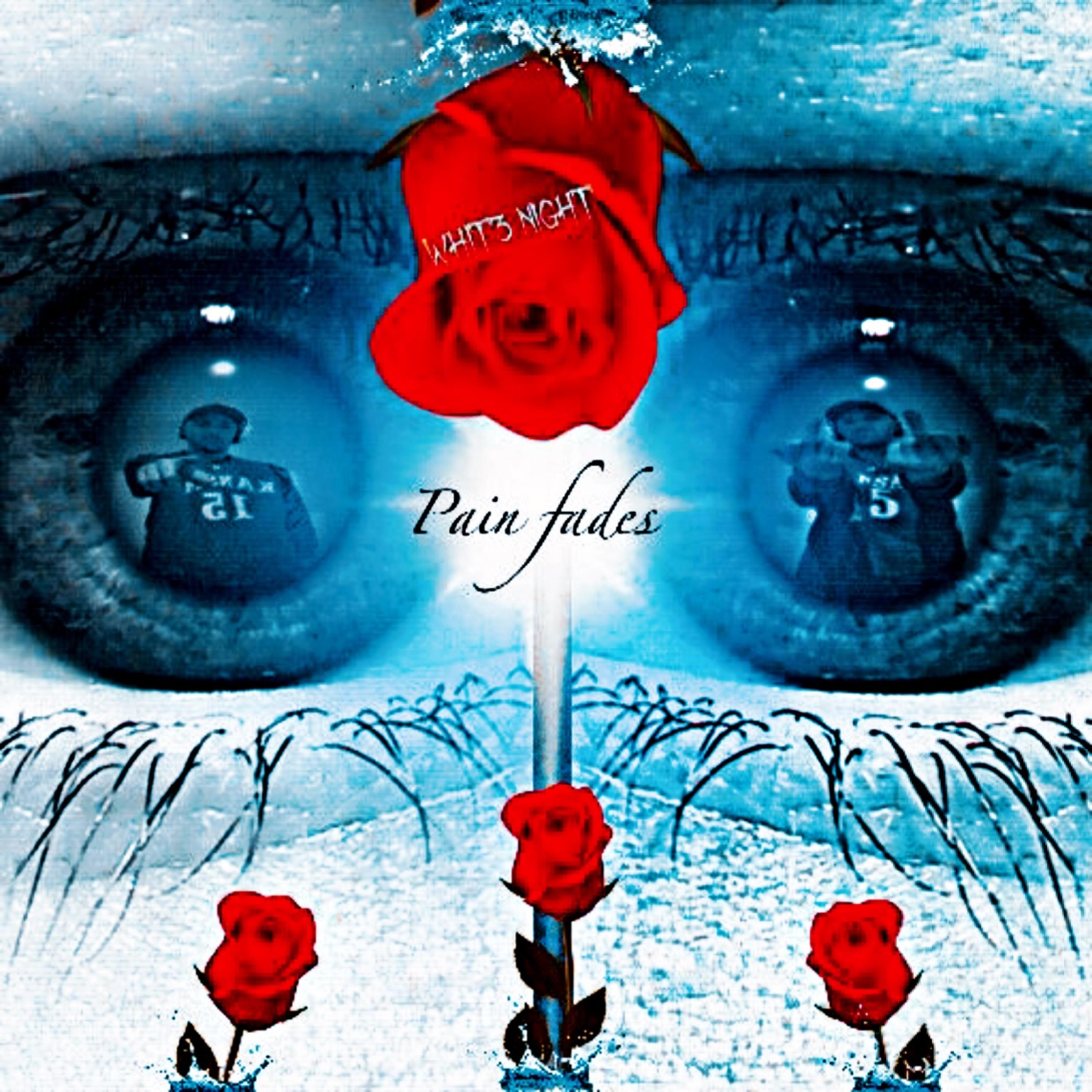 Pain Fades artwork