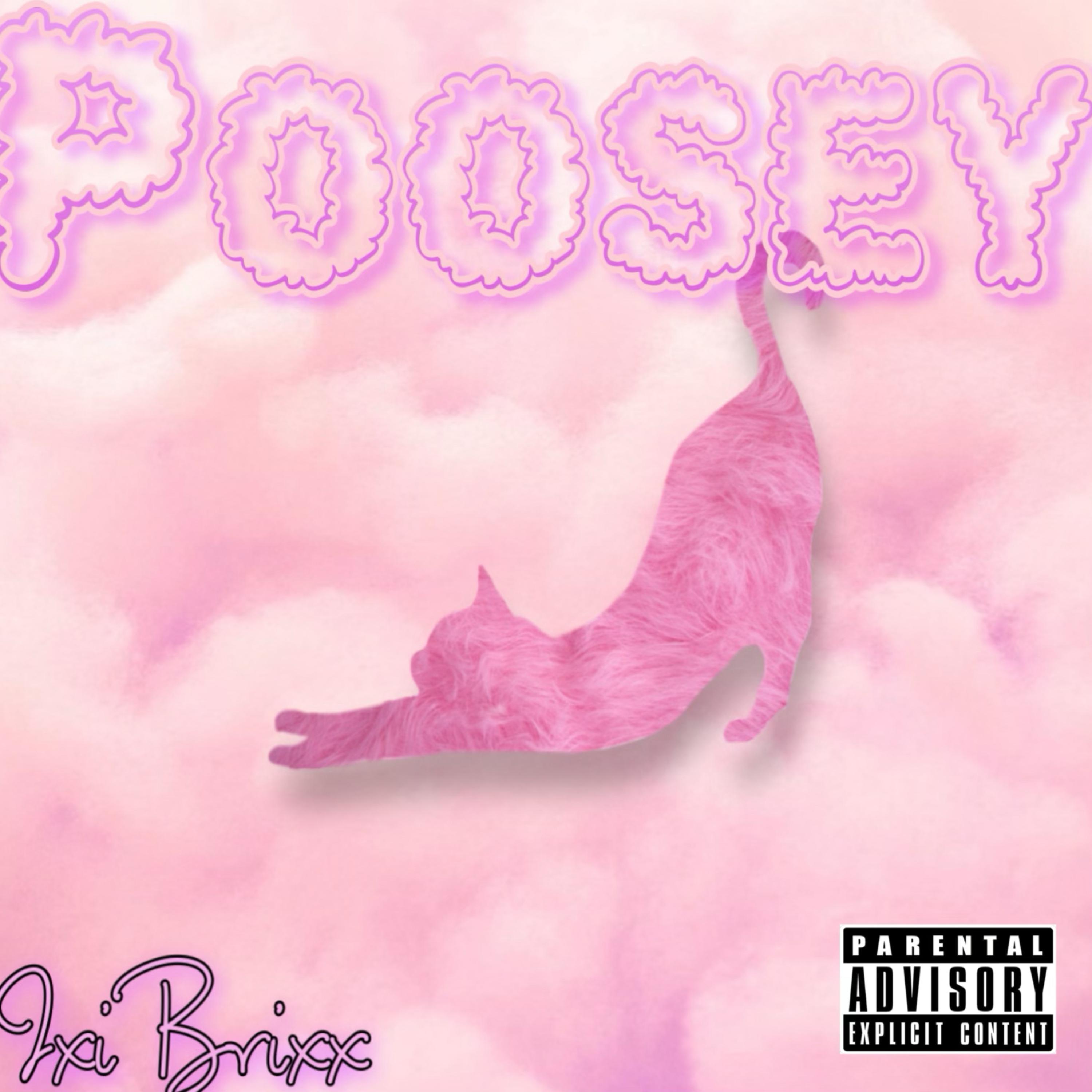 Poosey (Run This Shit) artwork