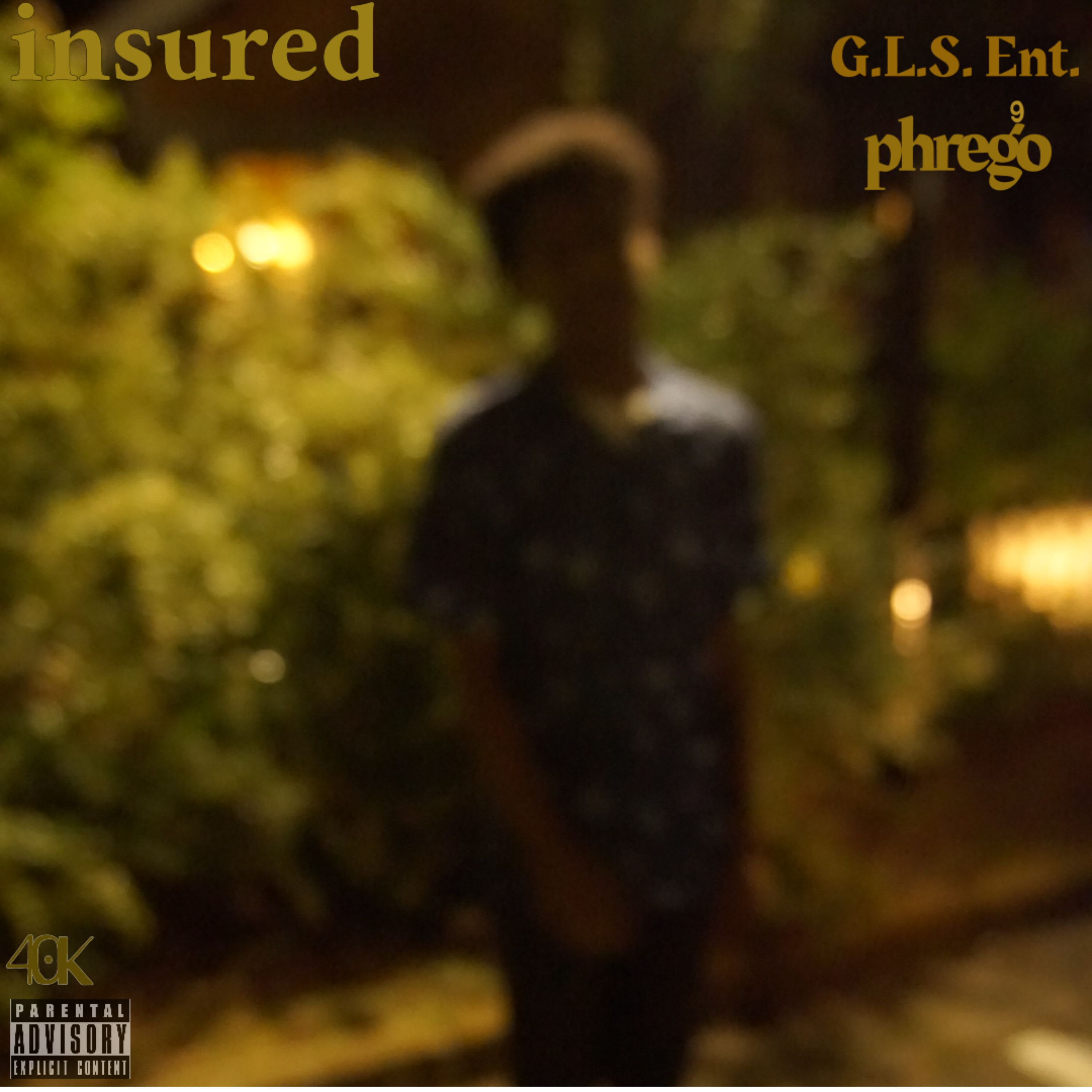 insured artwork