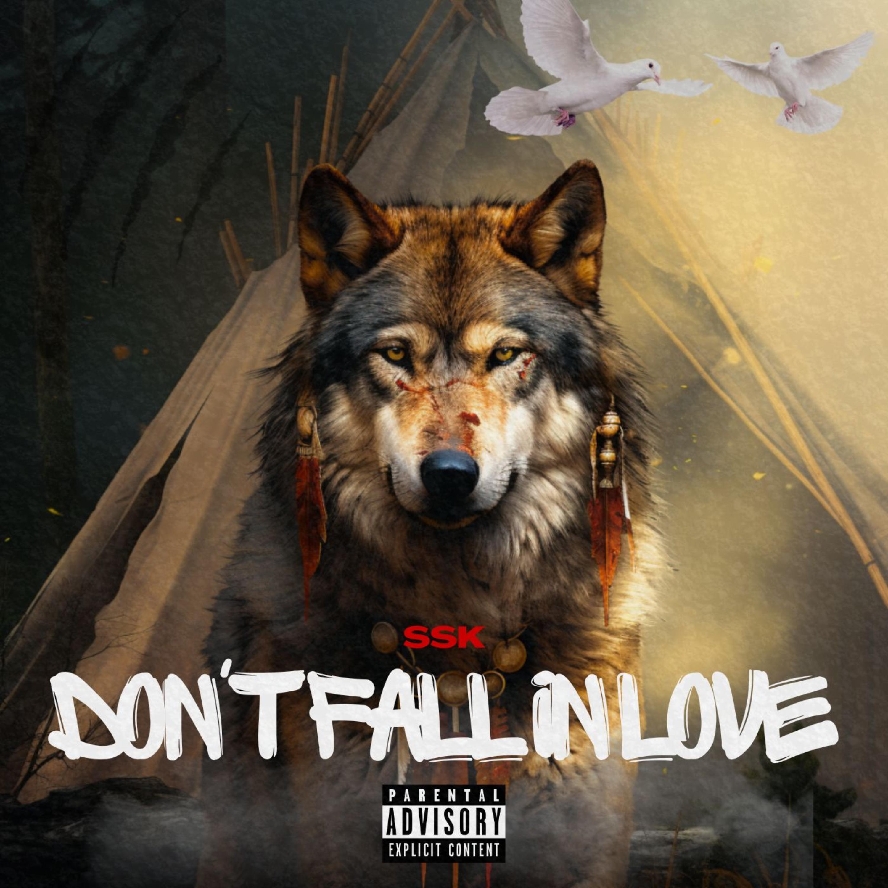 DONT FALL IN LOVE artwork