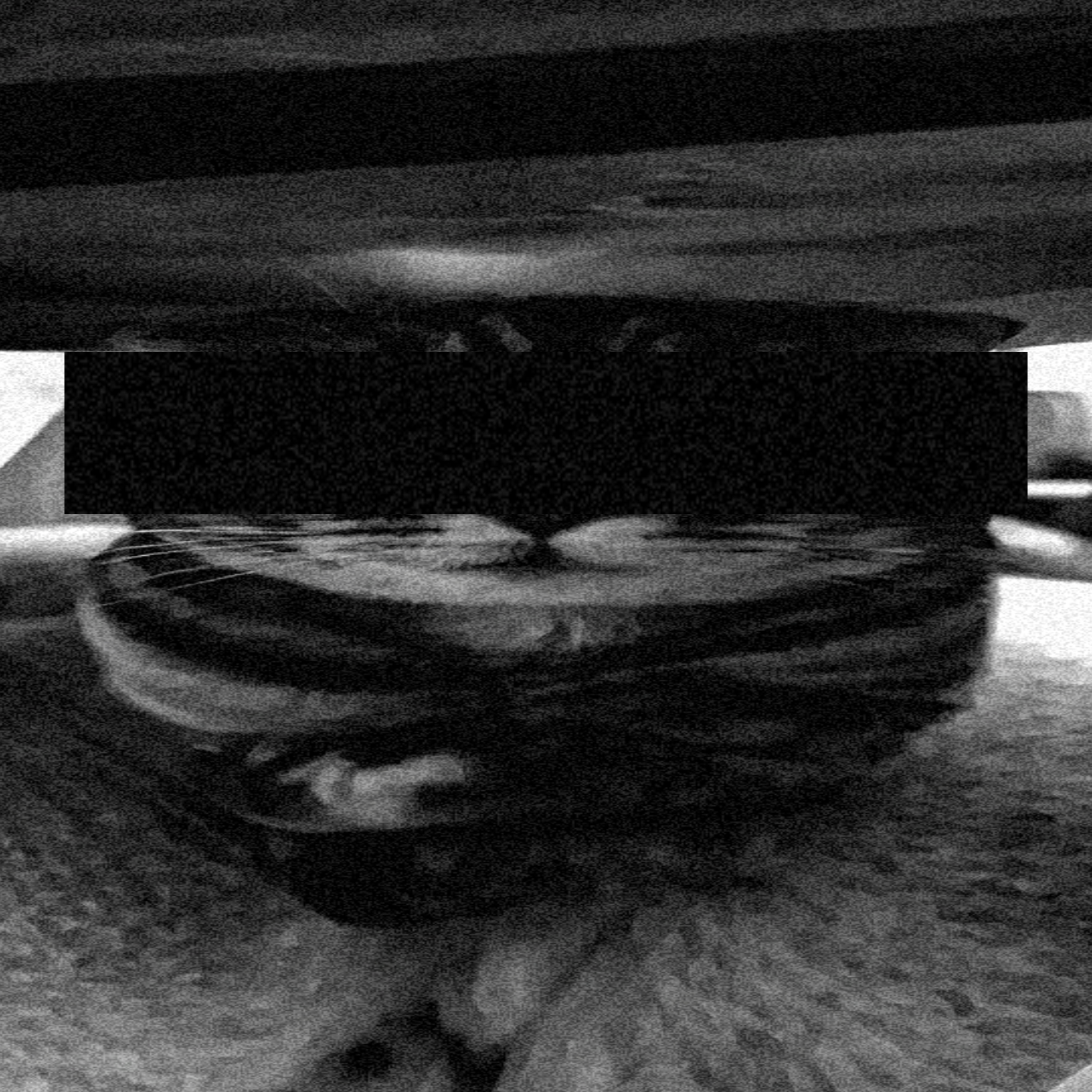 MAIN SUSPECT artwork