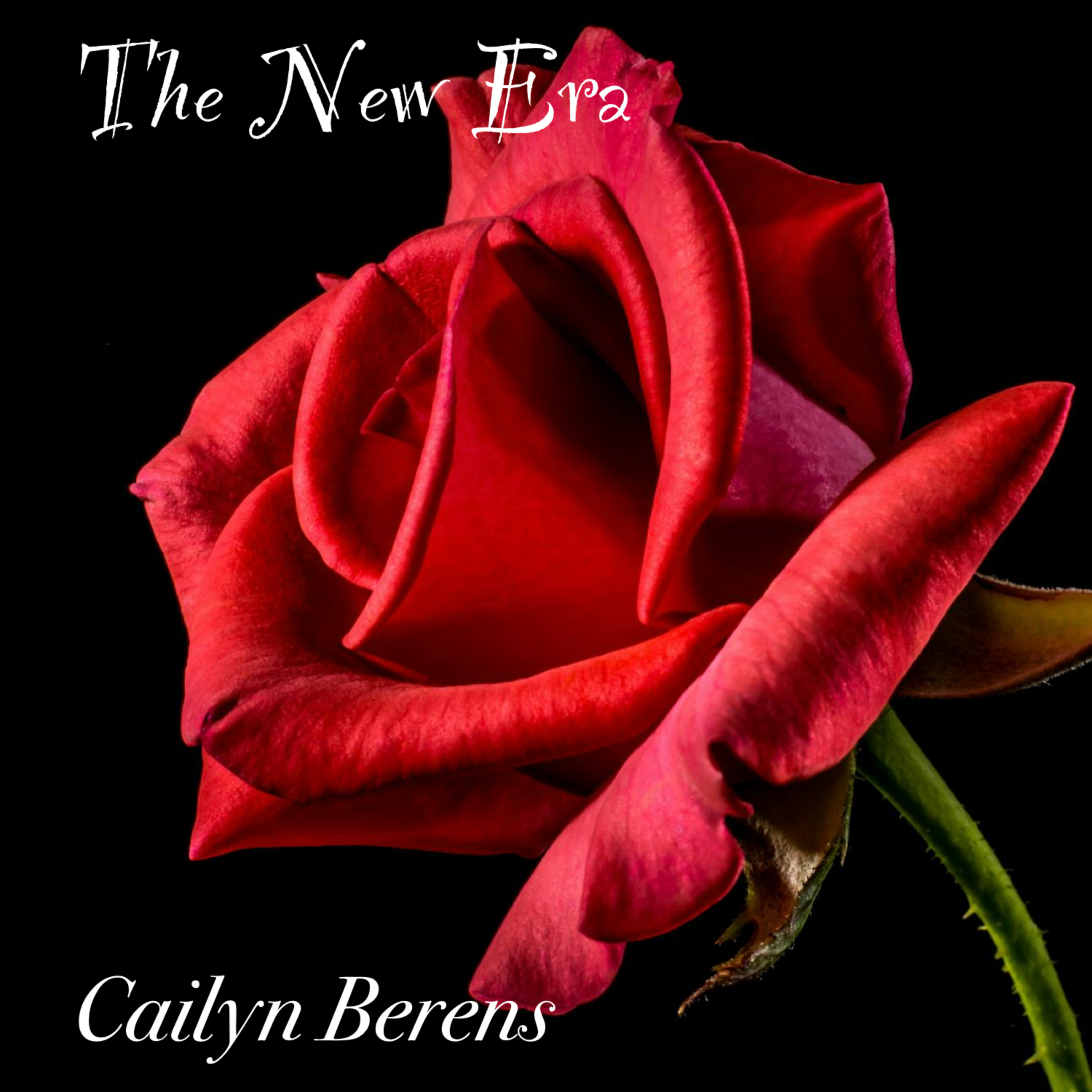 The New Era artwork