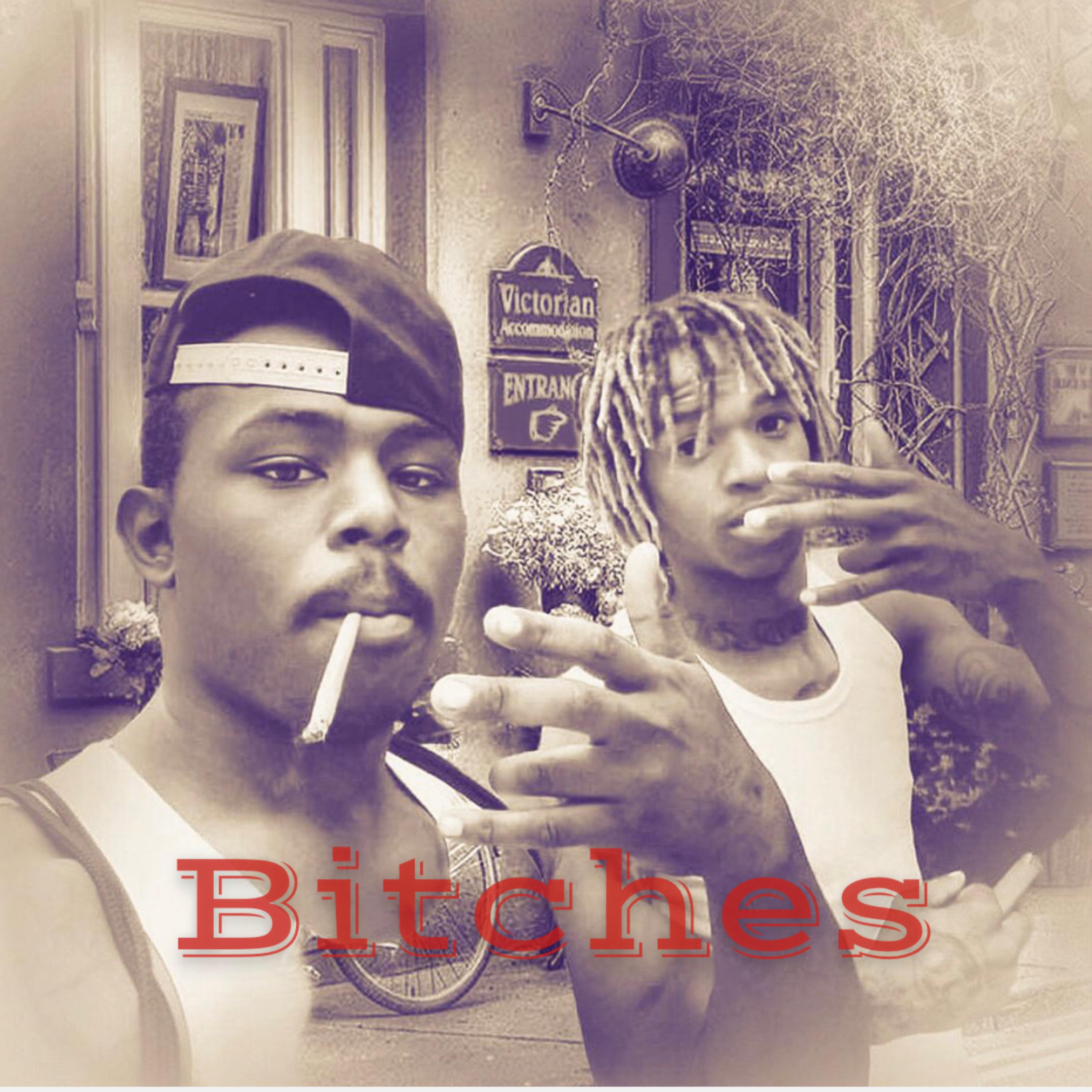 Bitches artwork