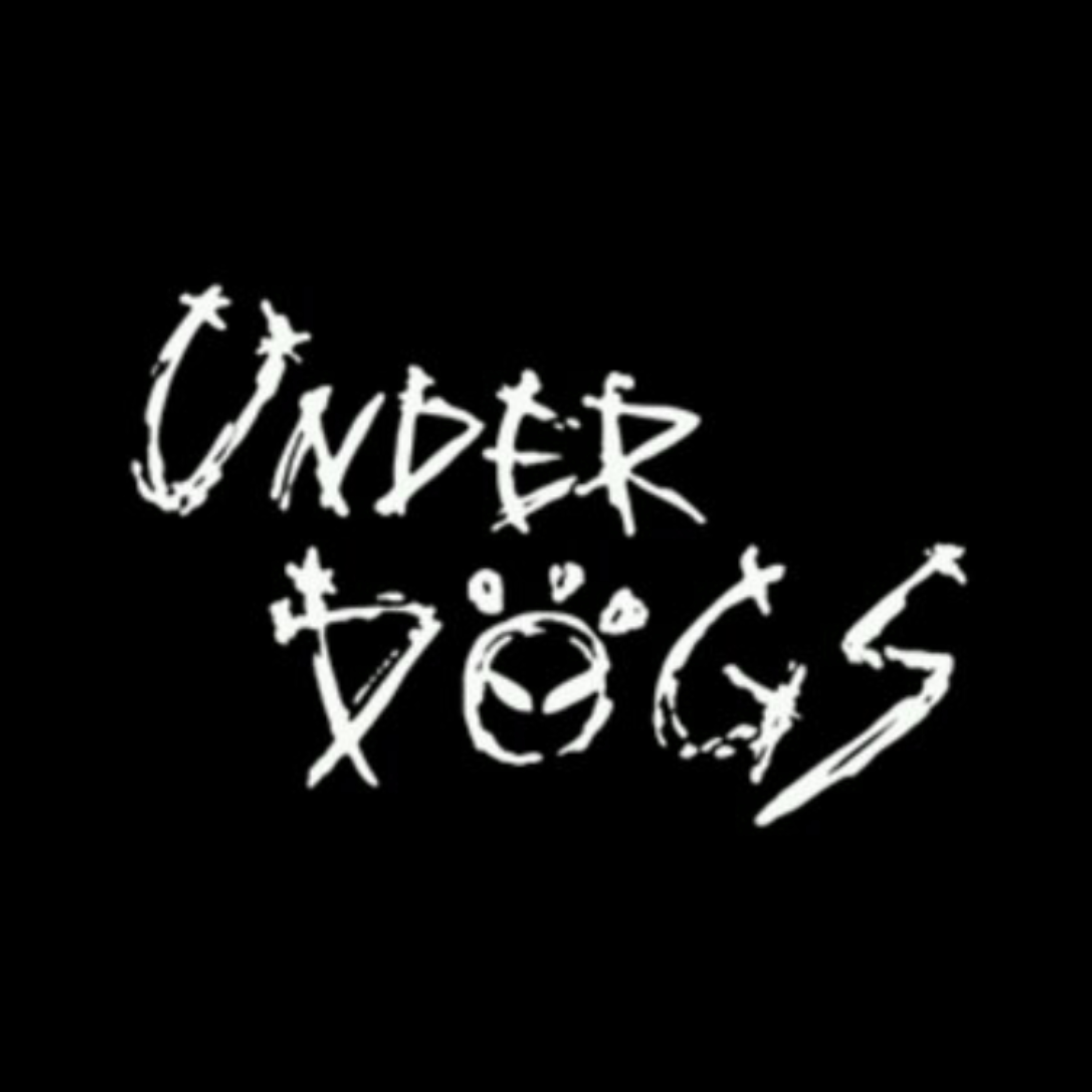 Attitude Of A Champion Bt Hustle Like A Underdog artwork