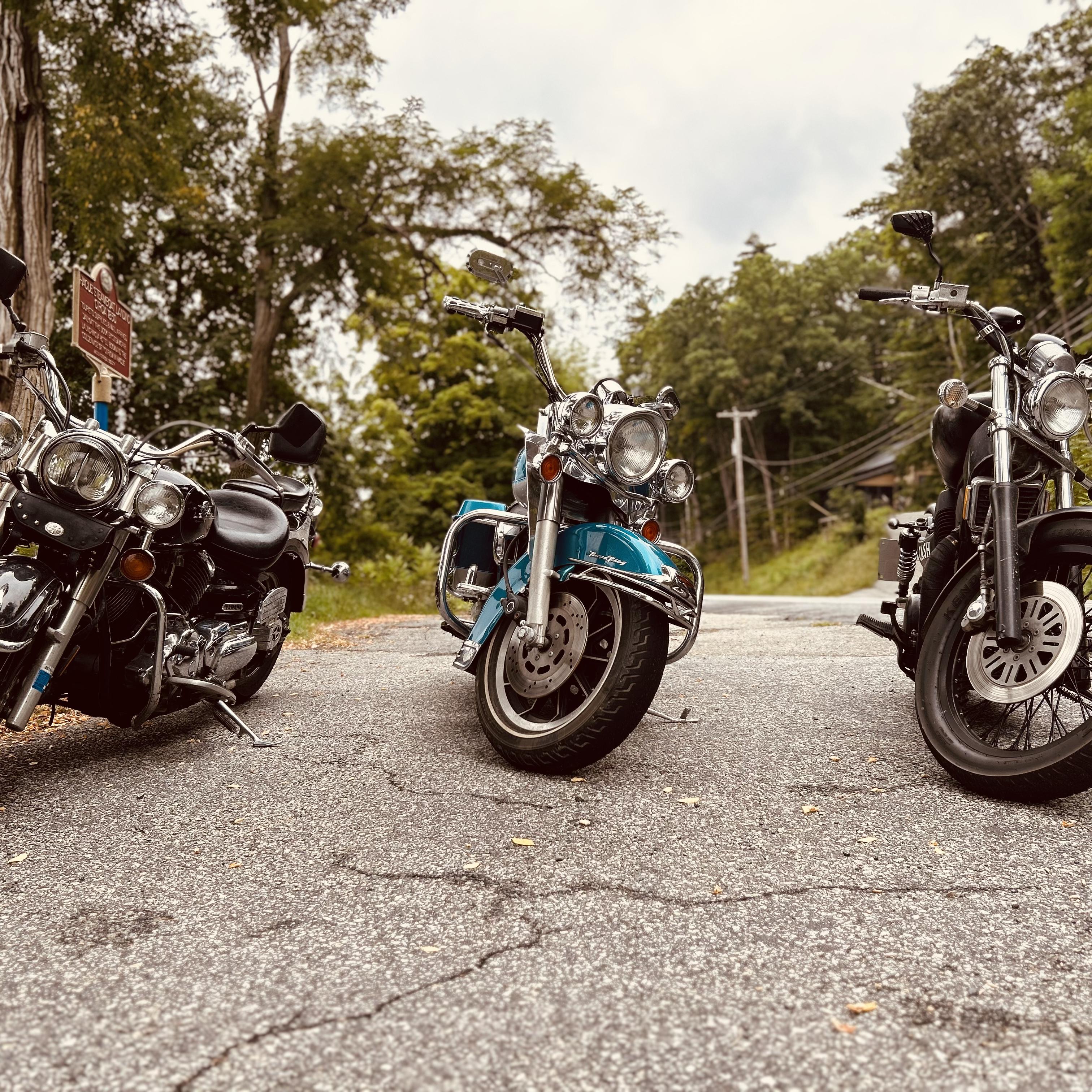 Born To Ride artwork