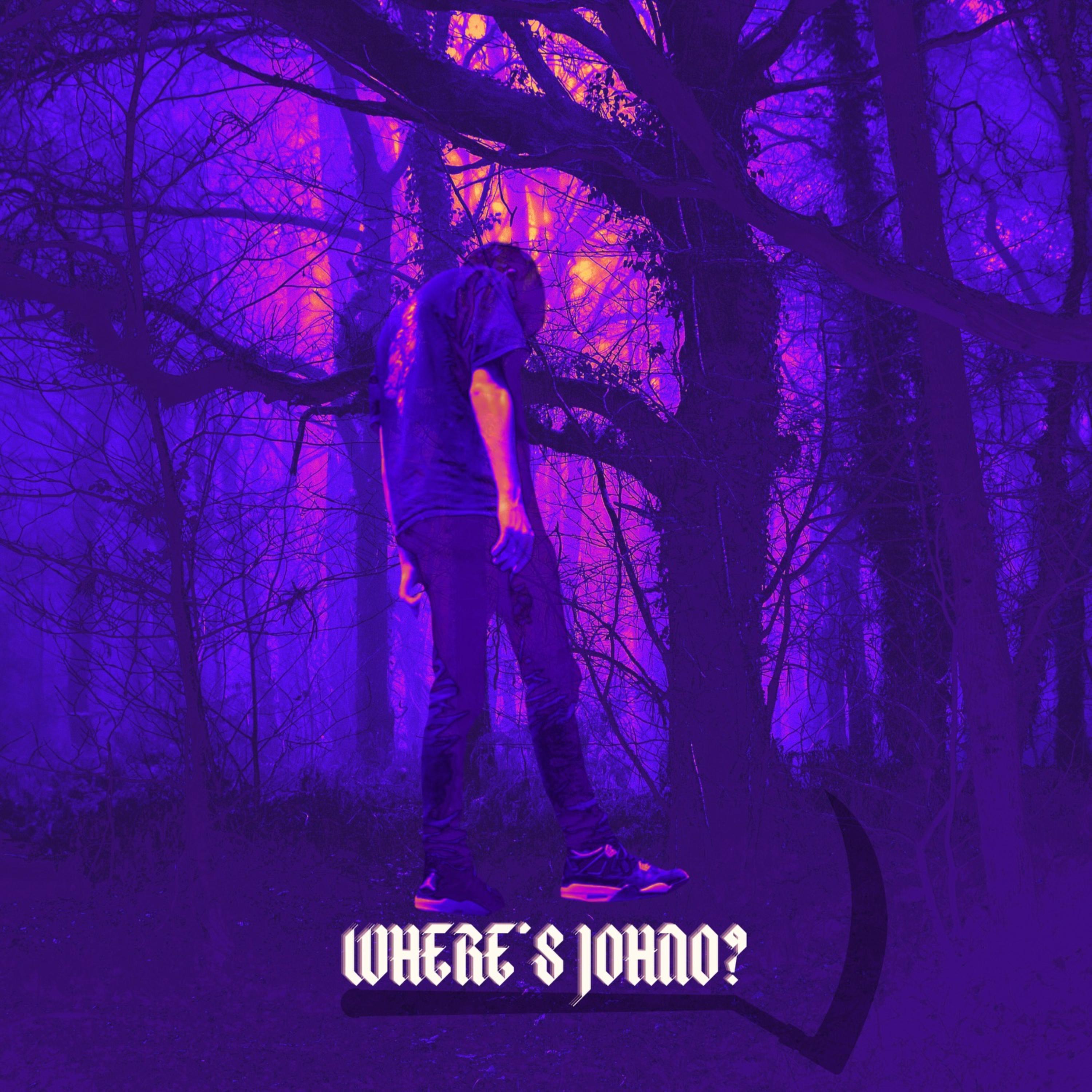 WHERE'S JOHNO? artwork