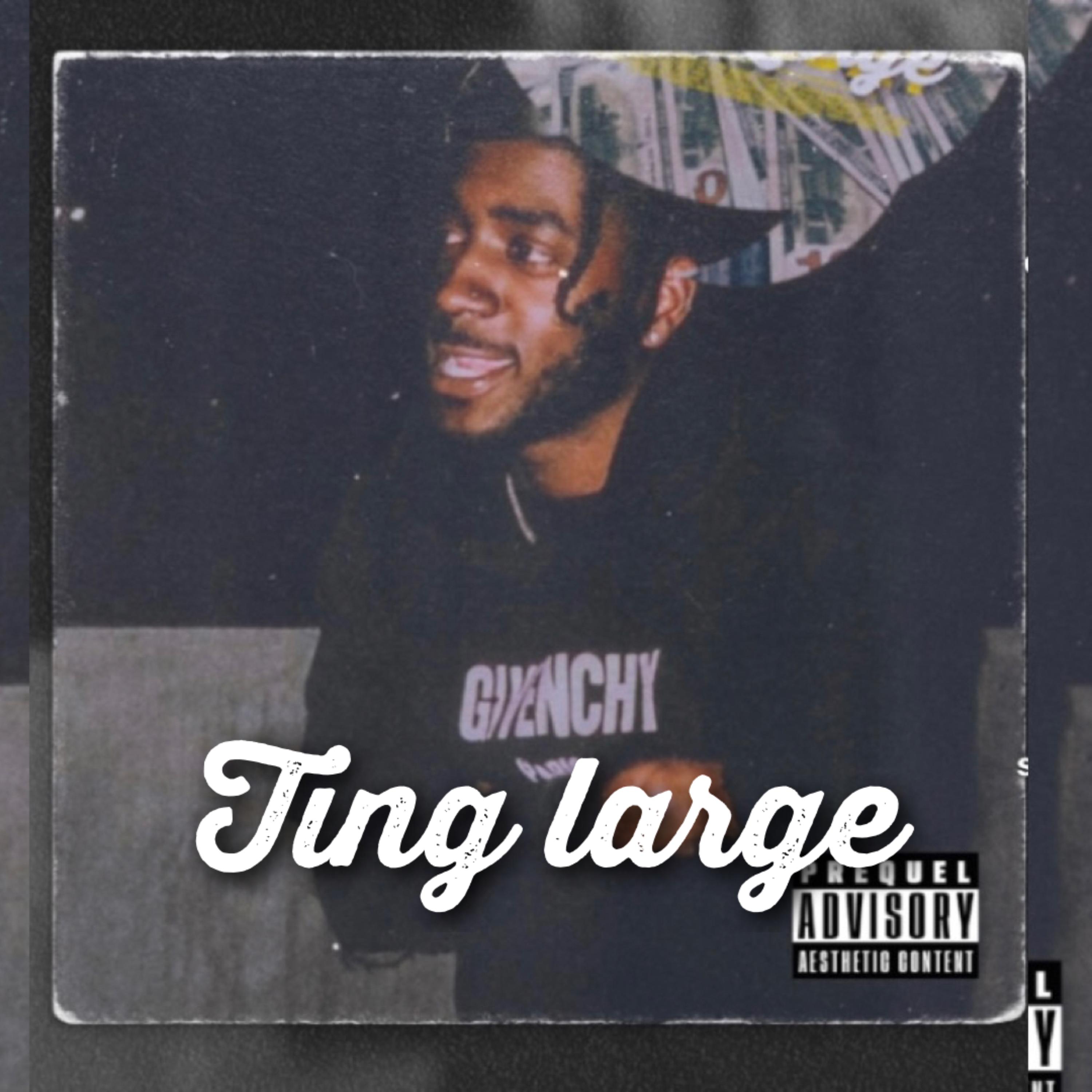 Ting Large artwork