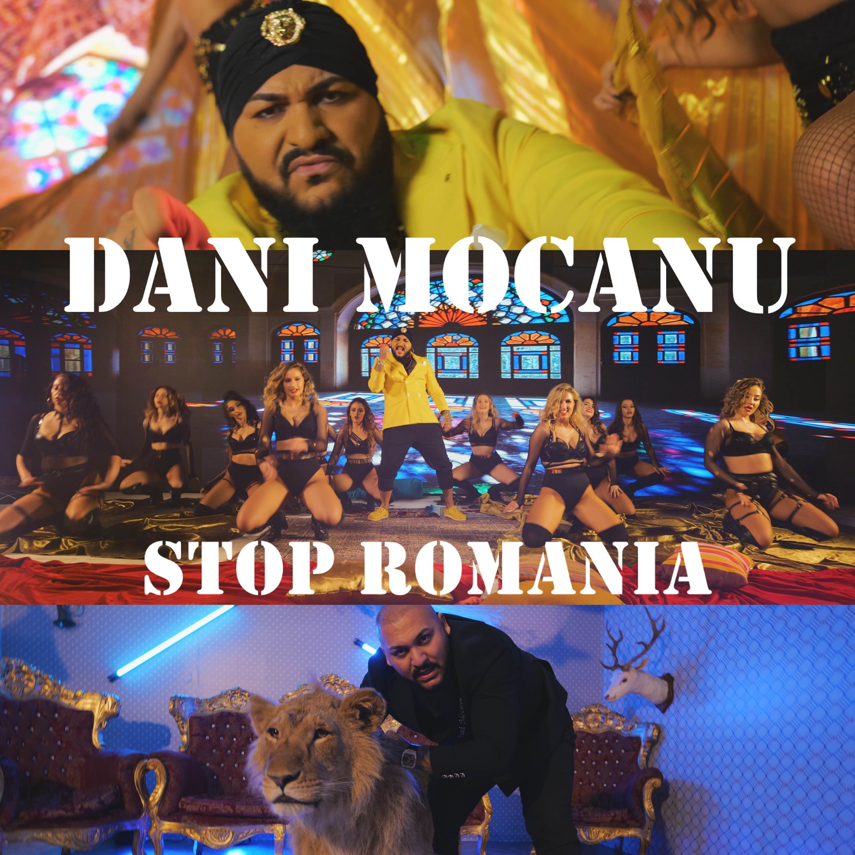 Stop Romania artwork