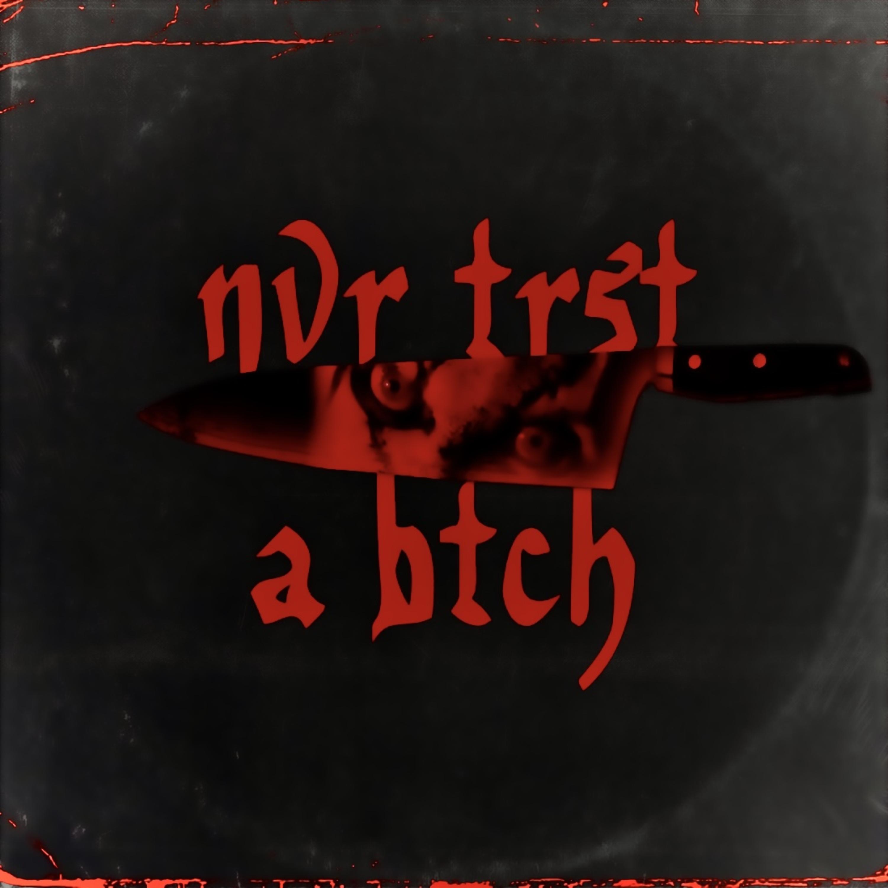 Nvr Trst A Btch artwork