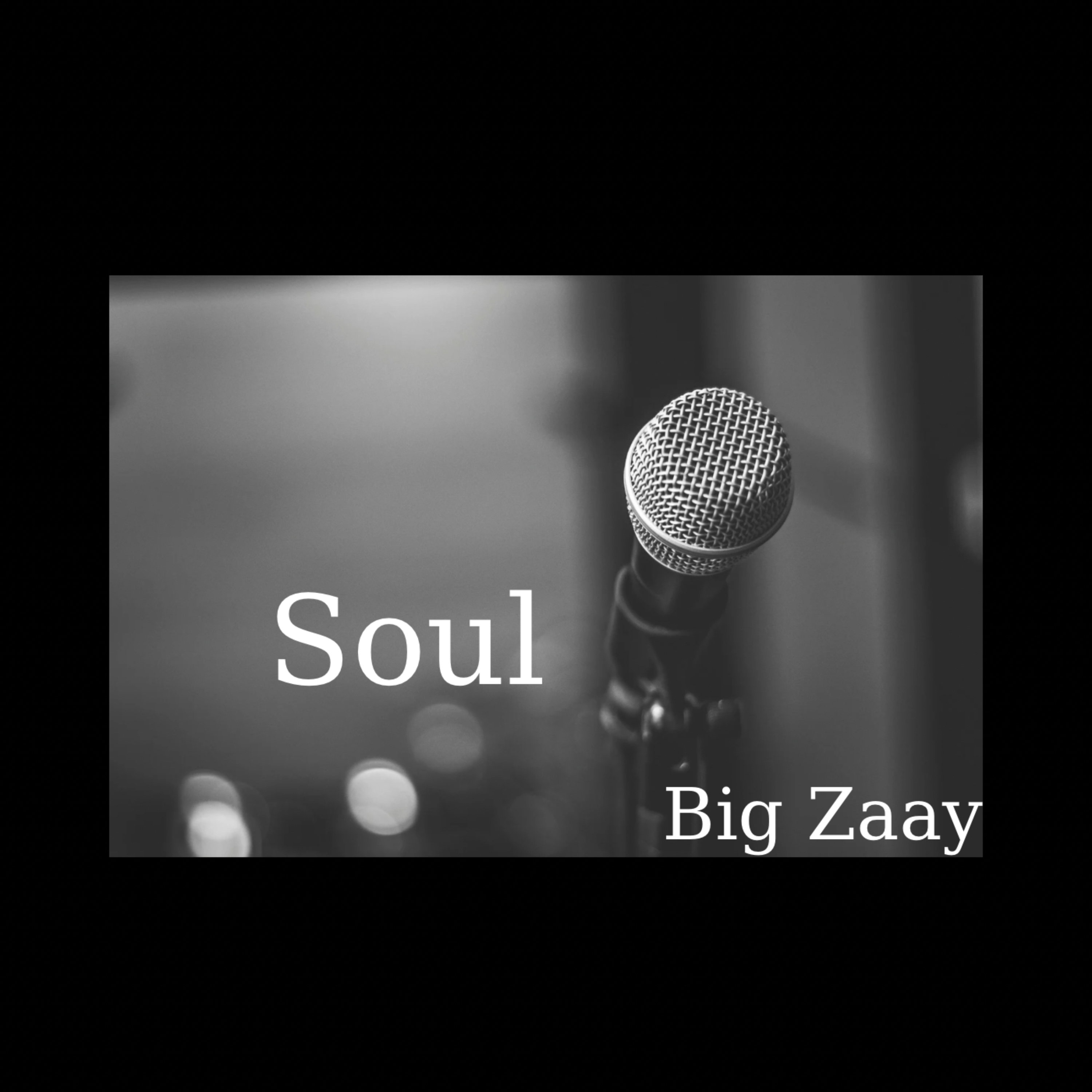 SOUL by Big Zaay  cover art