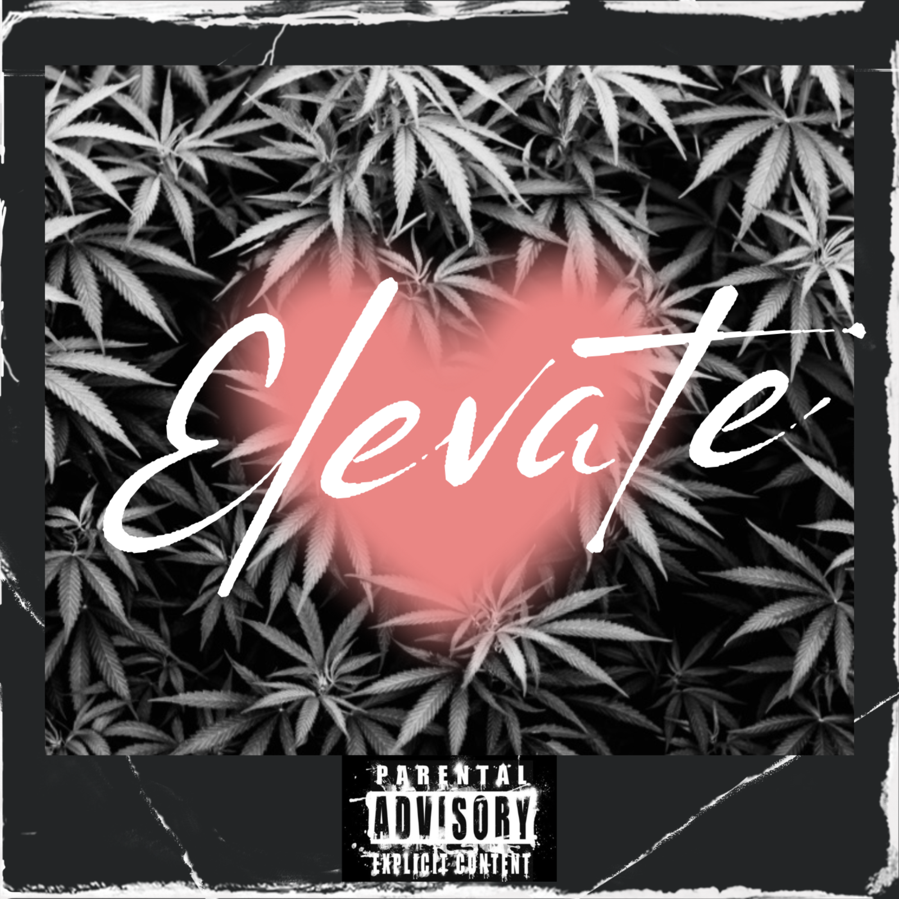 Elevate artwork