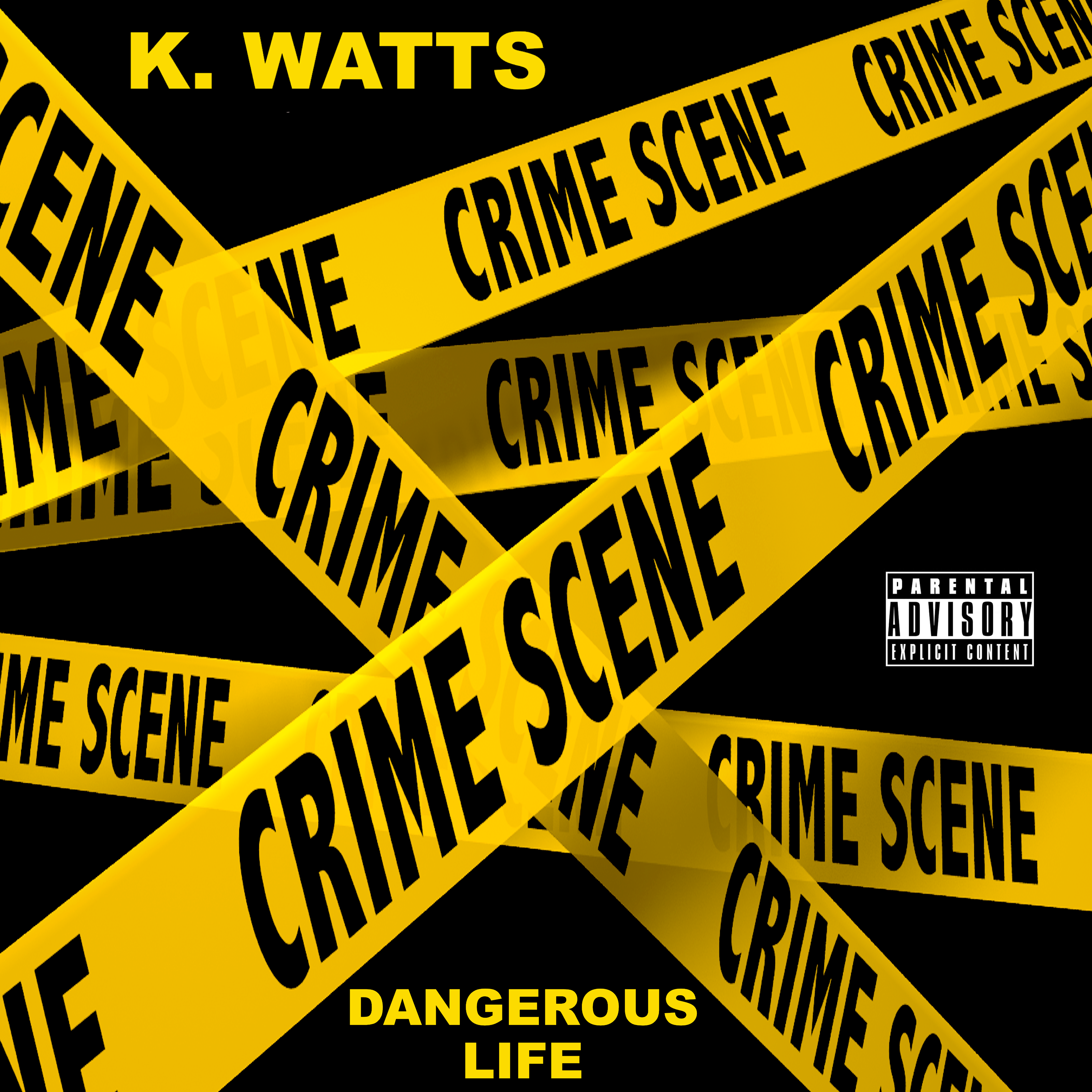 Dangerous Life artwork