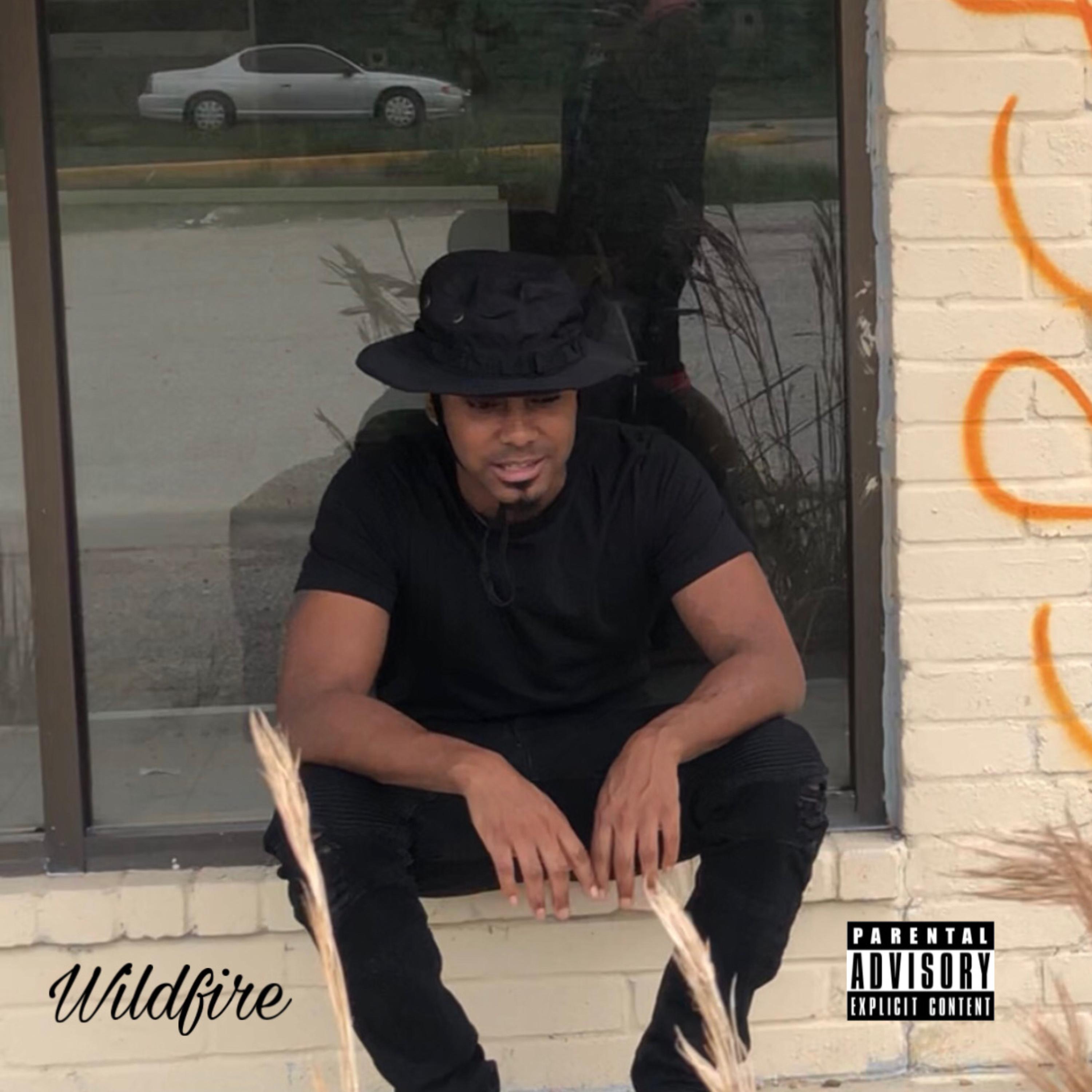 Wildfire artwork